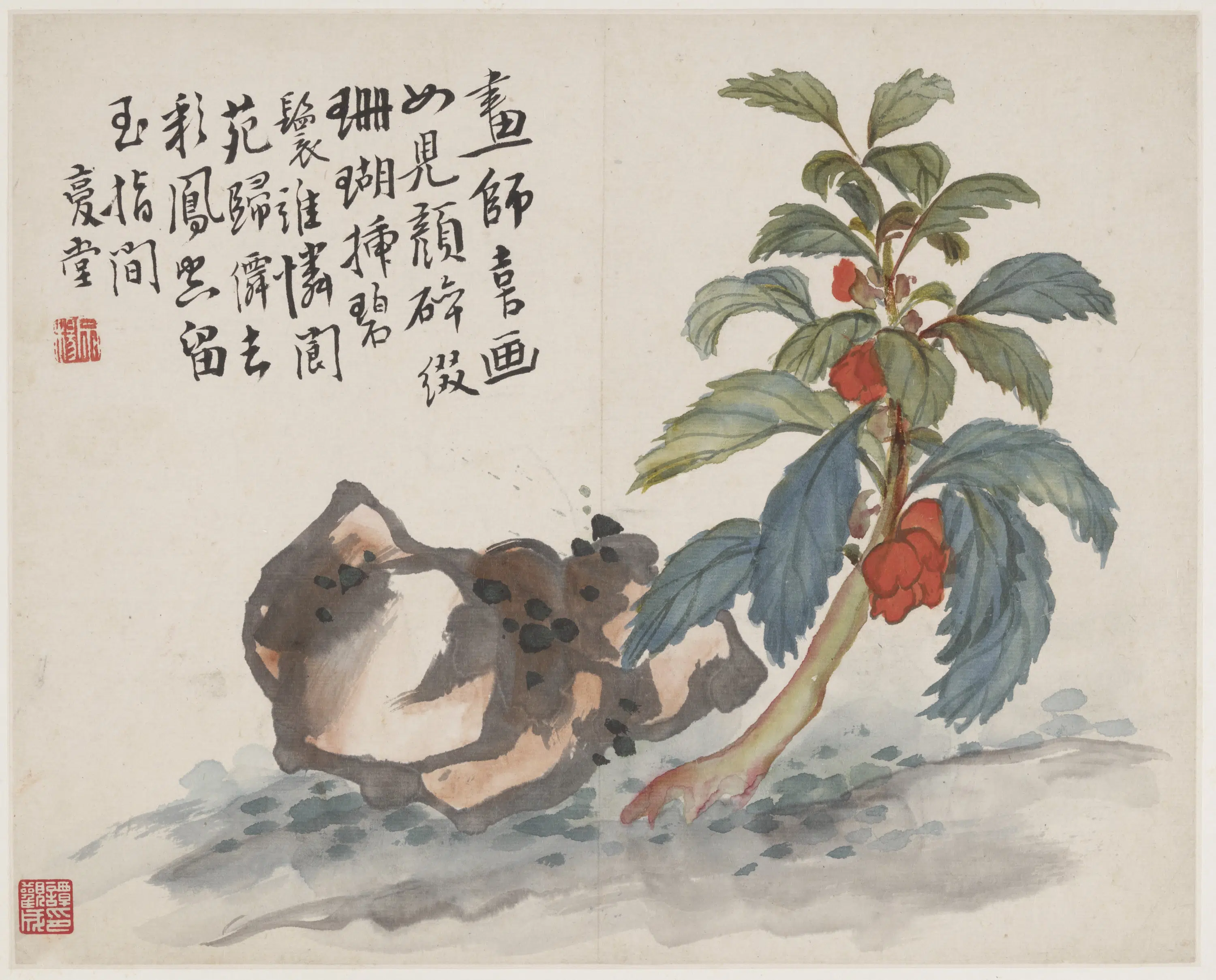 清朝【李鳝（鳝善）】《花石图》