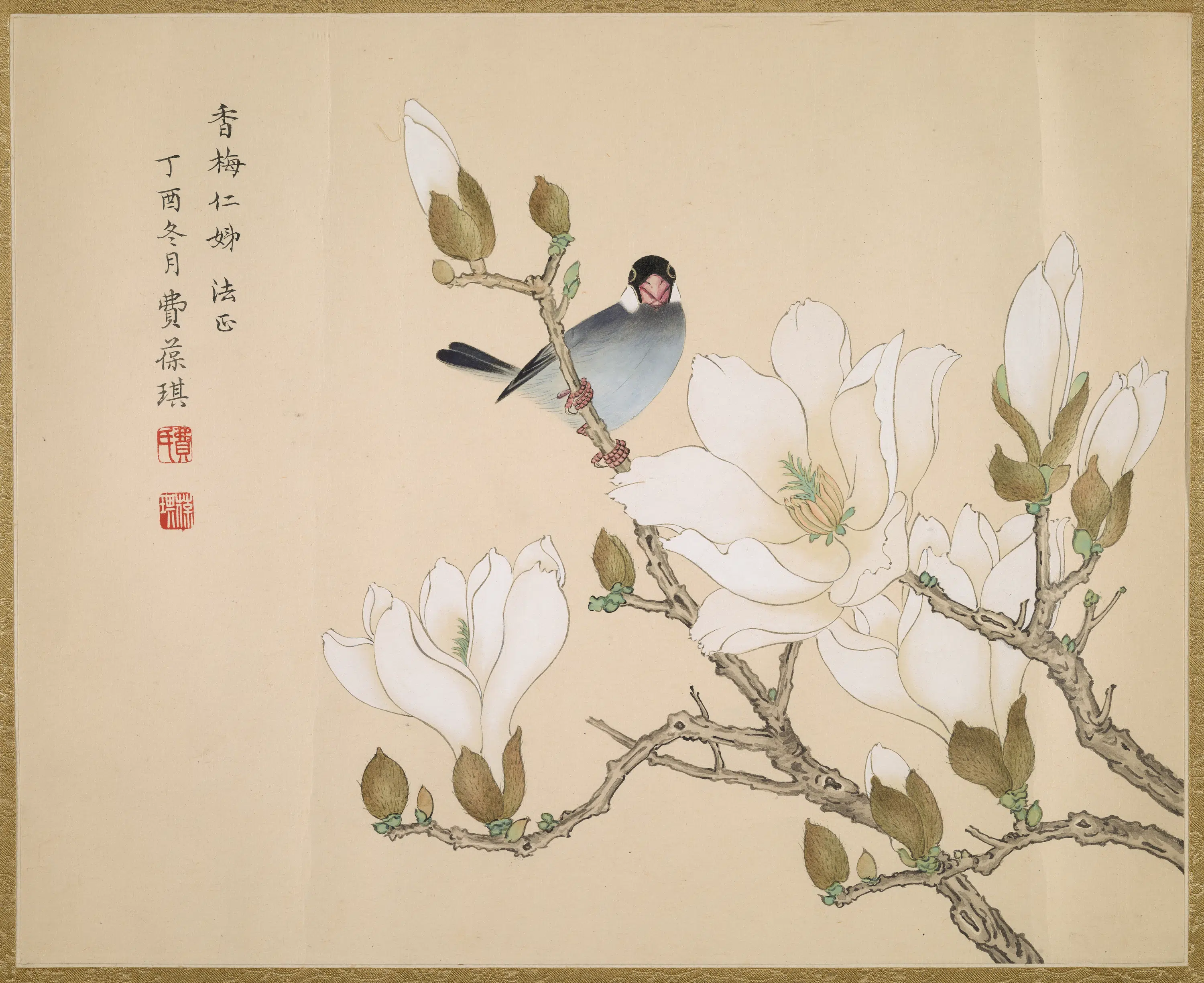 近现代【费葆琪】《玉兰栖禽图》