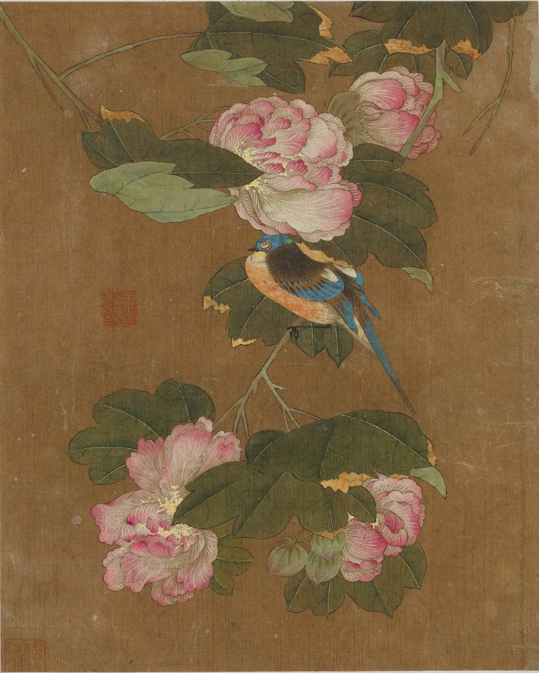《花鸟图册十开》 第5张