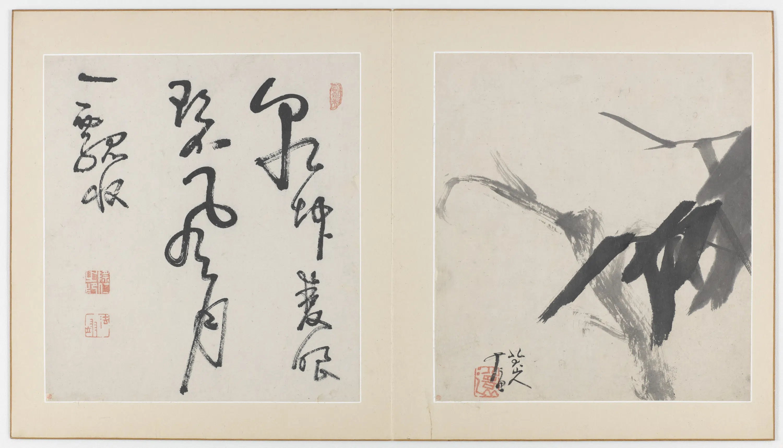 清朝【朱耷】《花鸟虫鱼图册(十一开)》 第10张