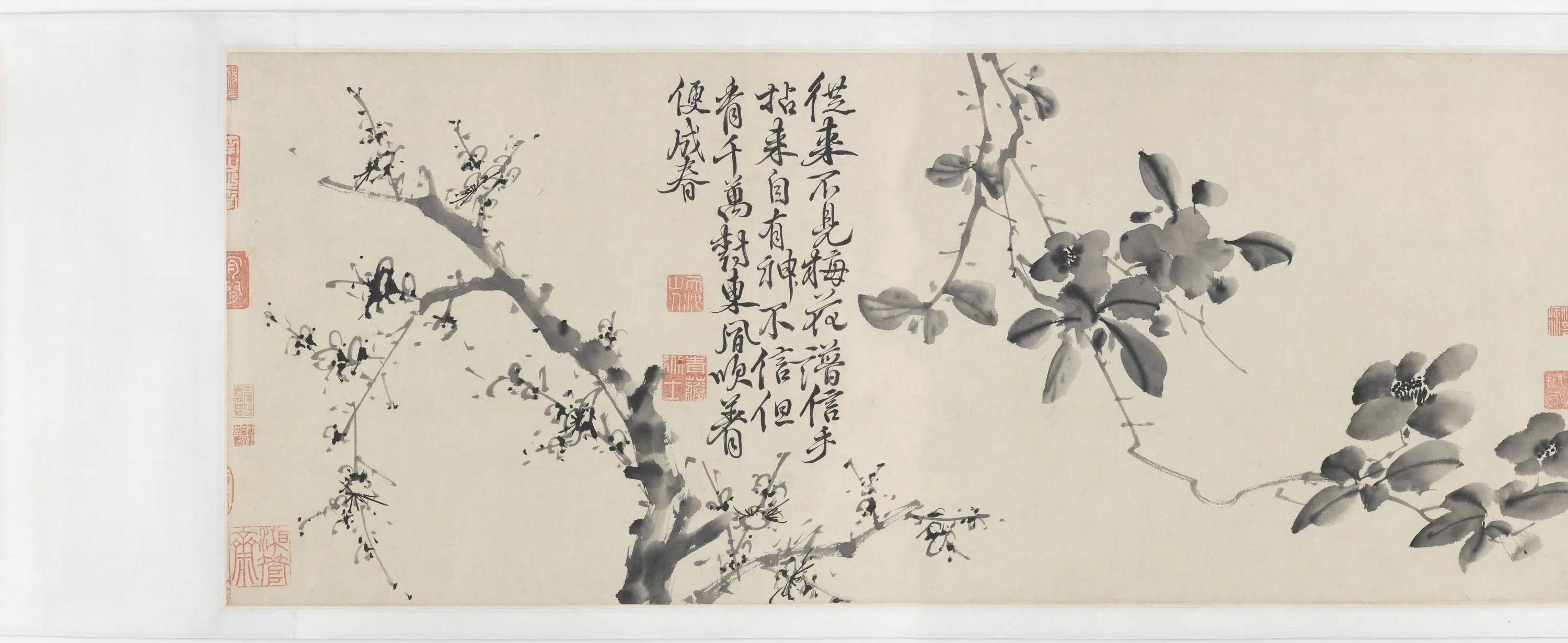 明朝【徐渭】《青藤墨妙（十二花卉配诗）图卷》