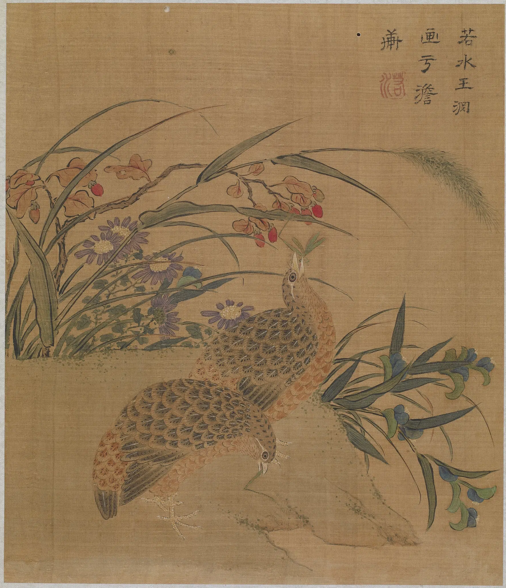 元朝【王渊】《鹌鹑花卉图》