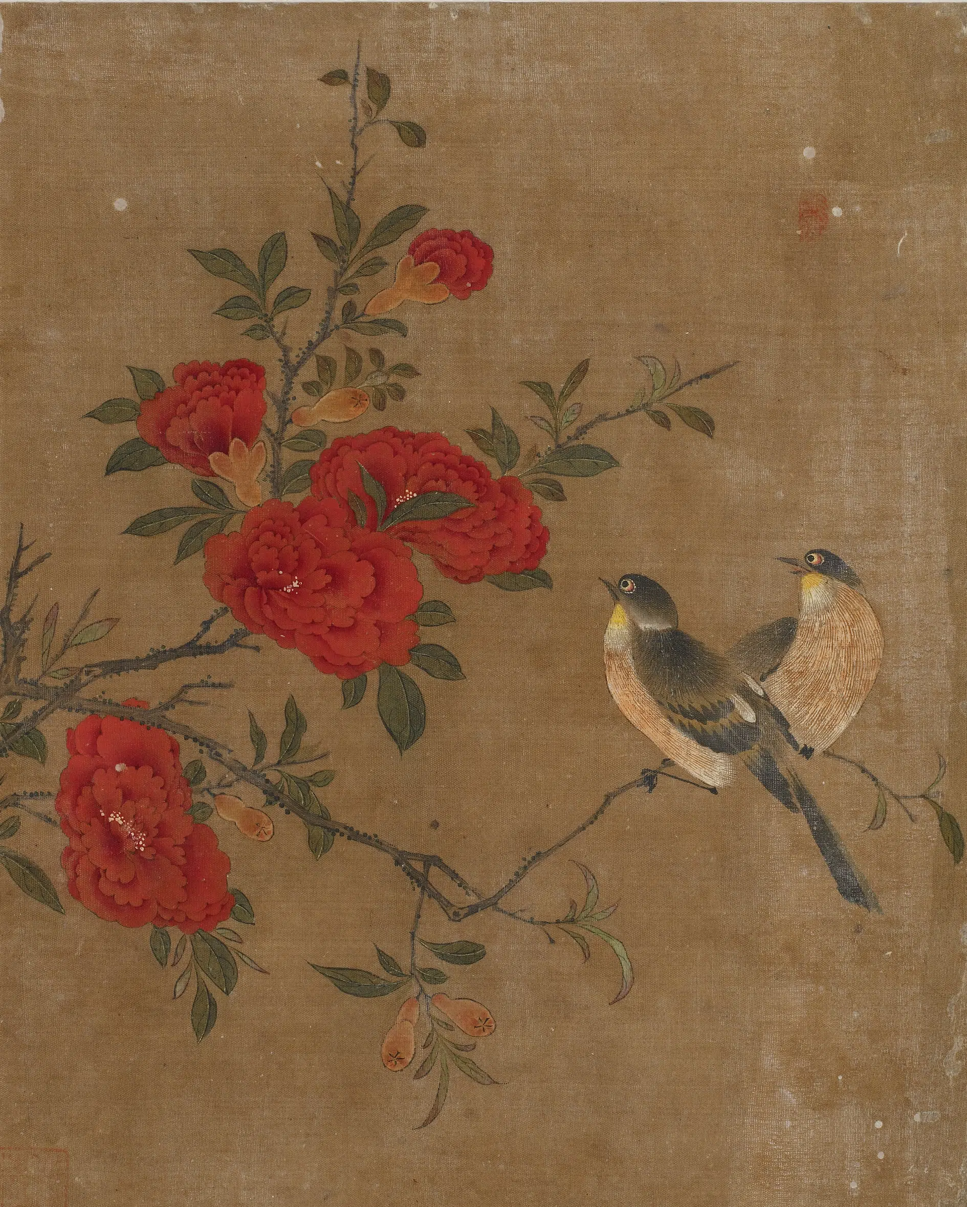 《花鸟图册十开》 第9张