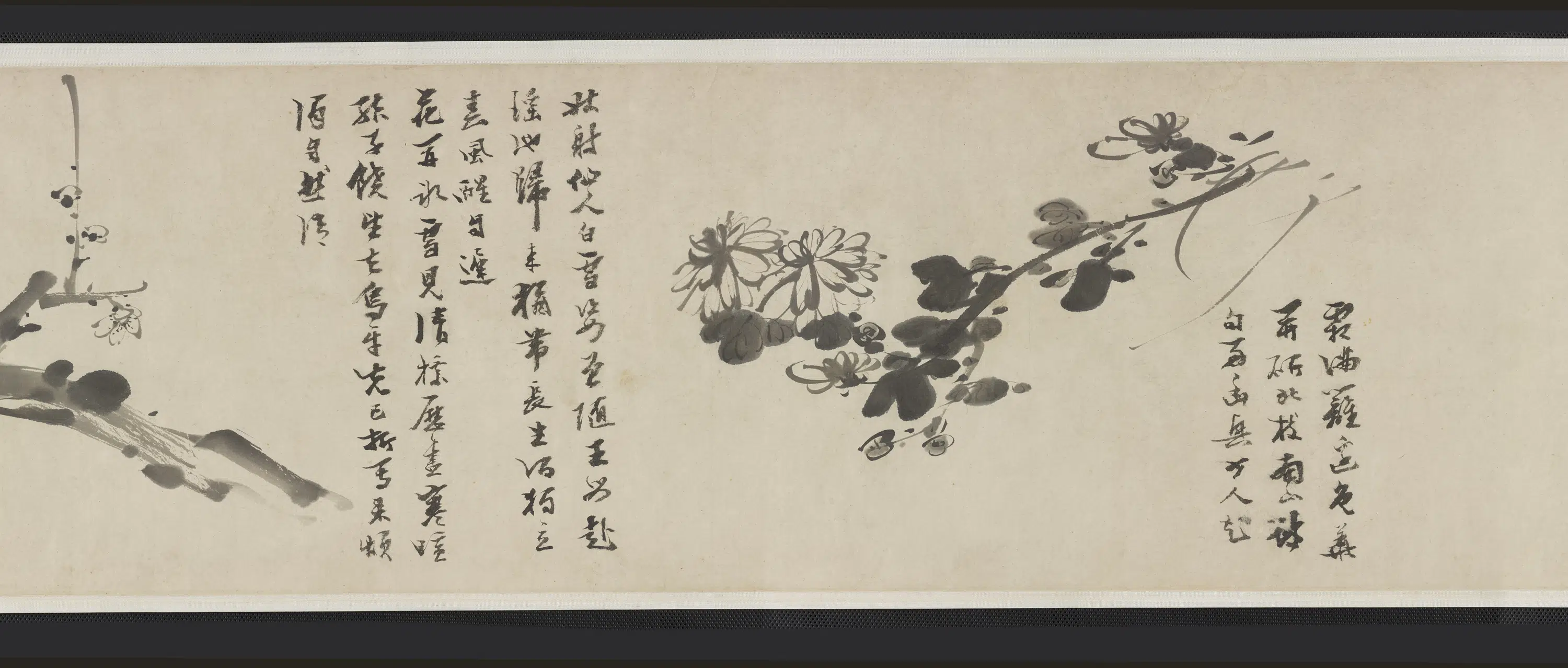 明朝【倪元璐】《墨笔六种花卉画卷》 第4张