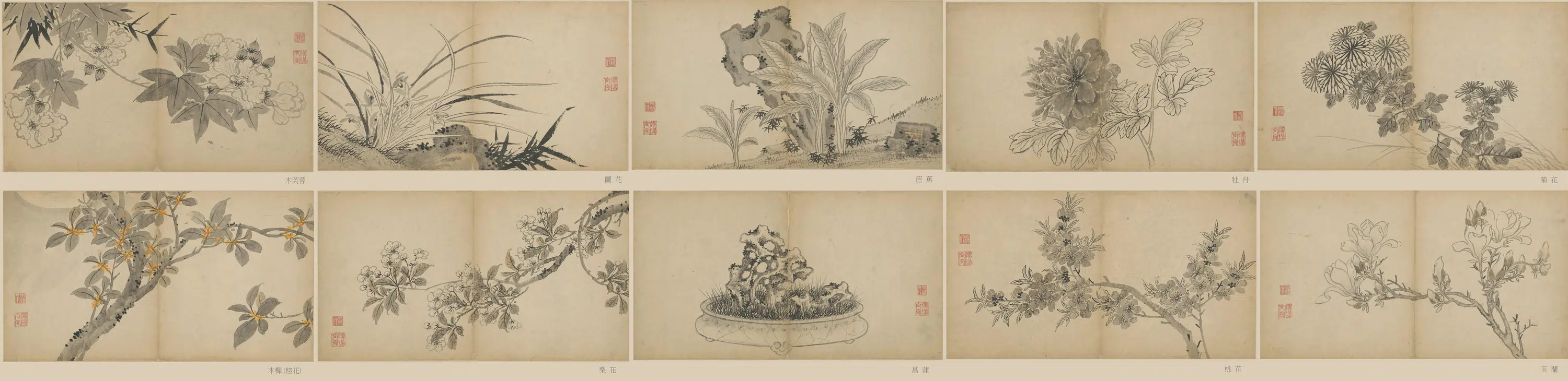 明朝【孙克弘】《花卉册页》 第2张