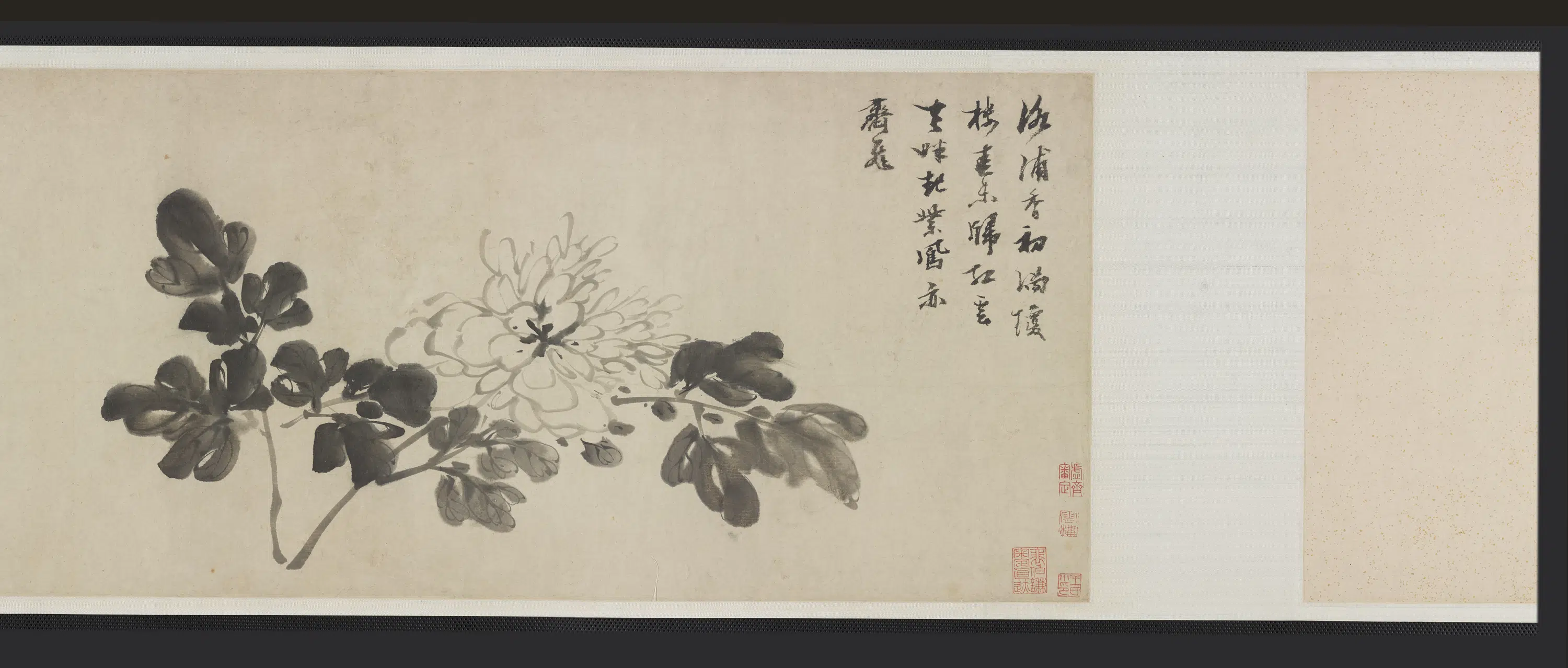 明朝【倪元璐】《墨笔六种花卉画卷》 第7张