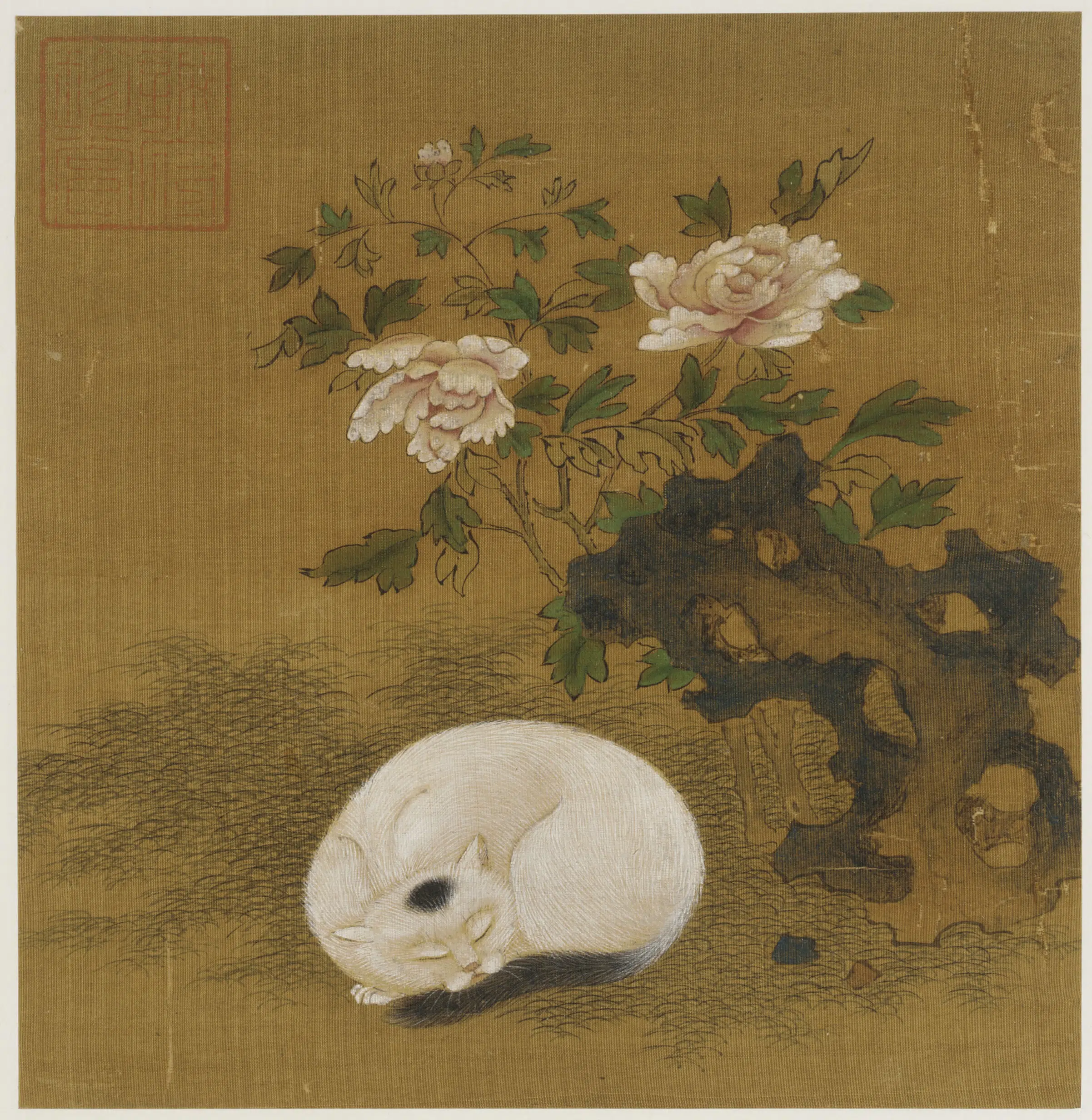 《猫石牡丹图》