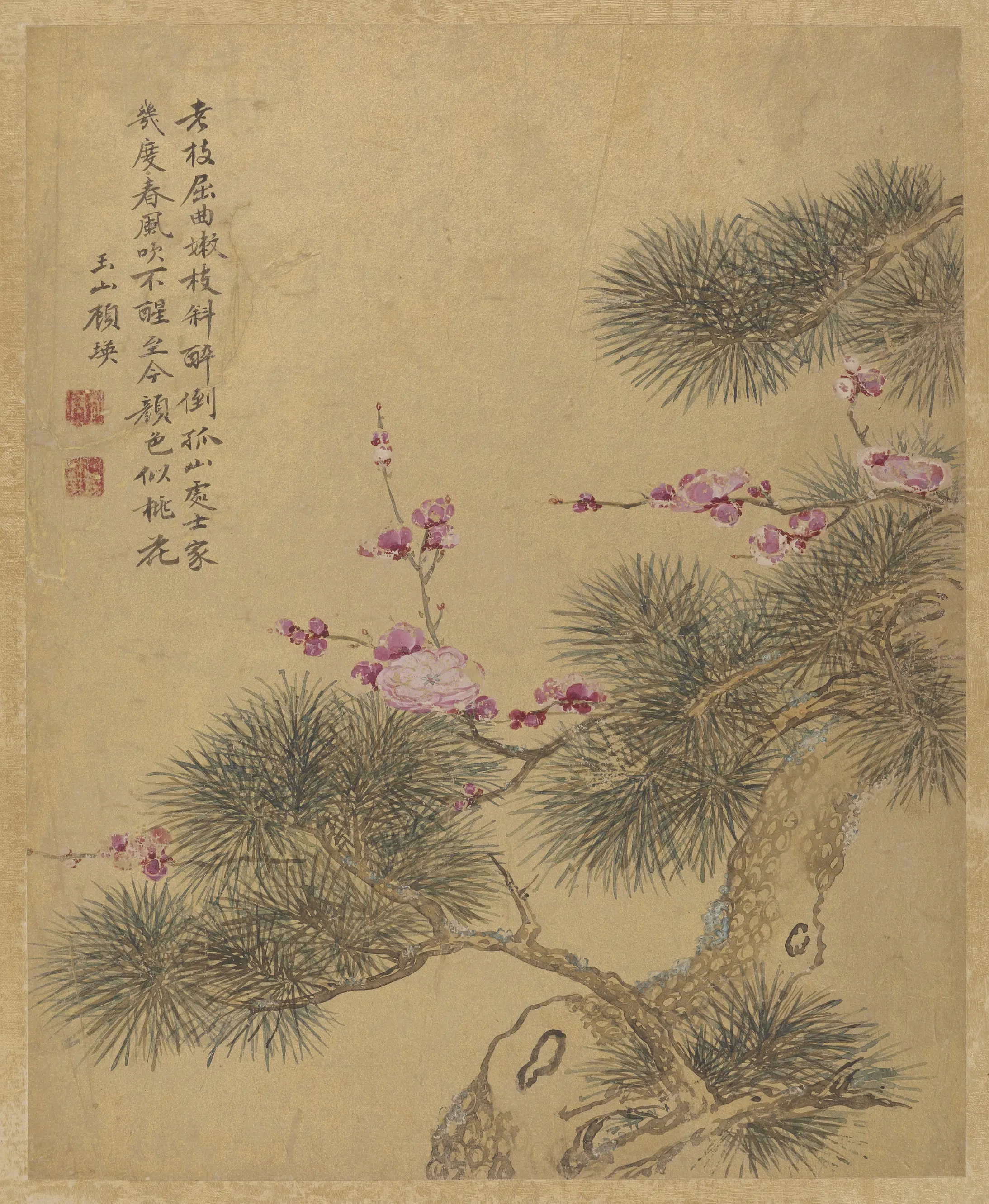 清朝【顾瑛】《松芳图》 第1张