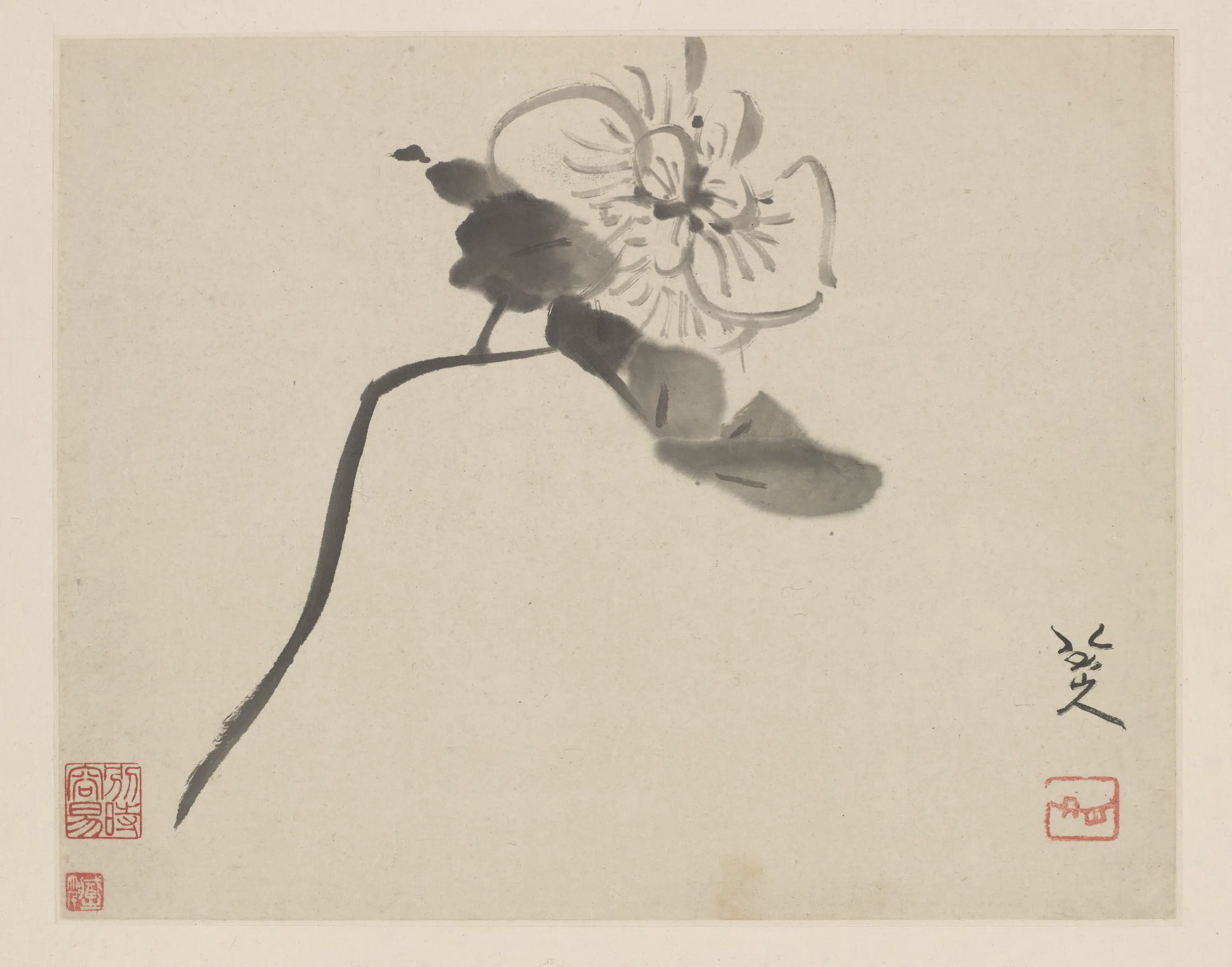 清朝【朱耷】《芙蓉图(册页)》