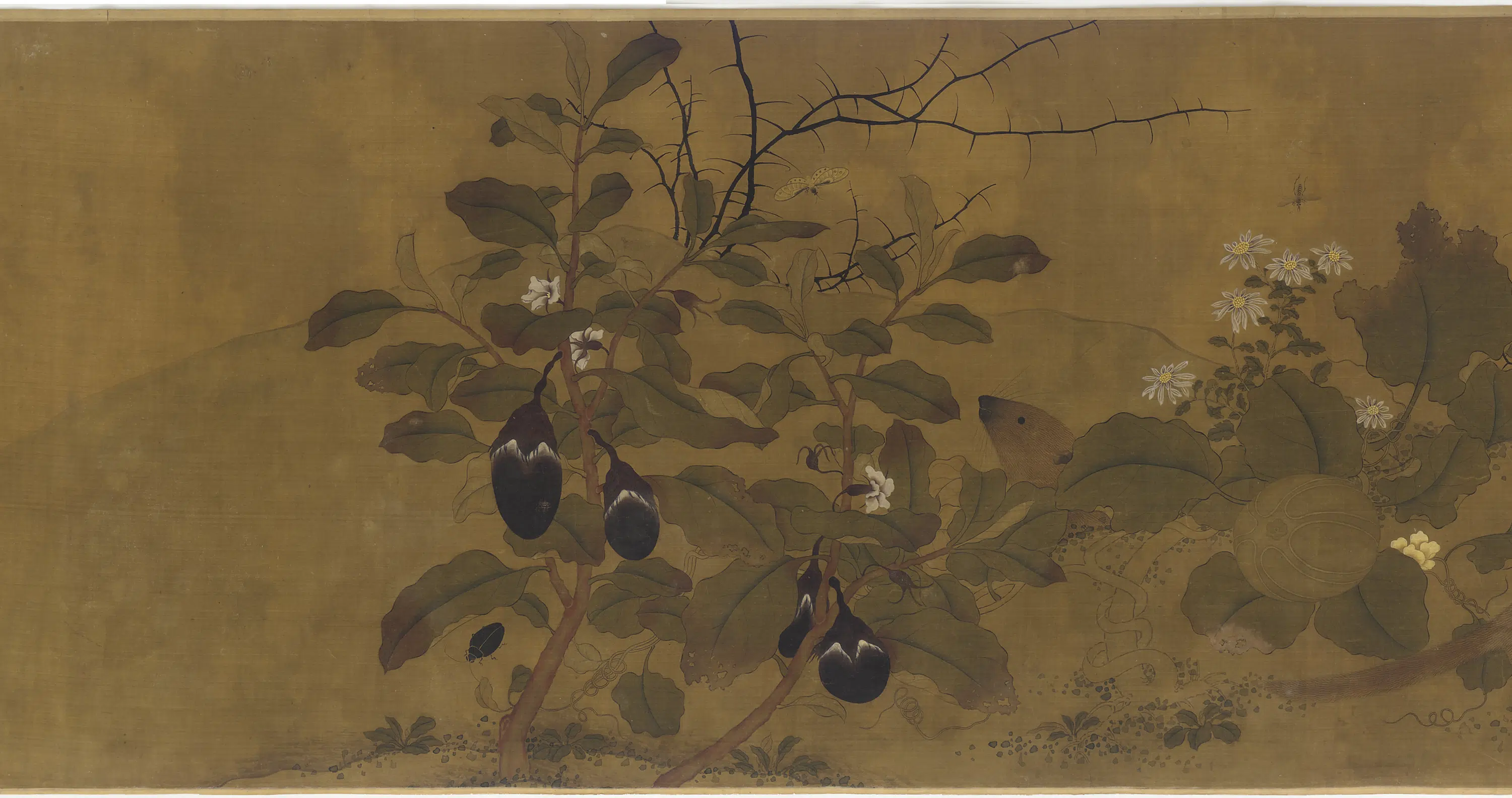 宋朝【吴炳】《园圃瓜茄花鼬双嬉图》 第2张 宋朝【吴炳】《园圃瓜茄花鼬双嬉图》 第2张