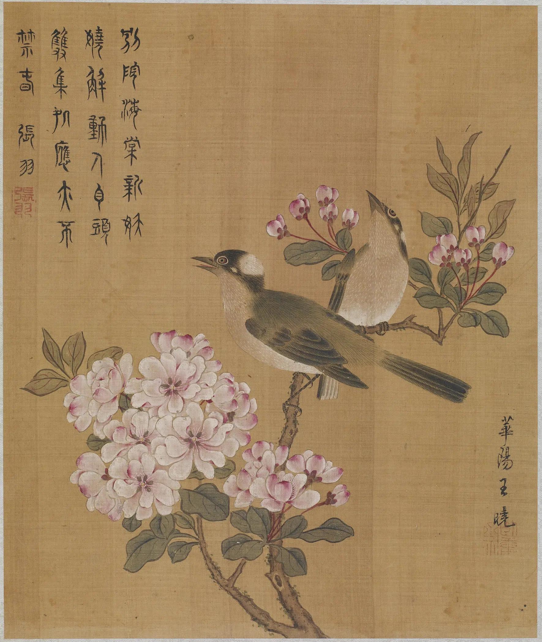 宋朝【王晓】《花枝栖禽图》