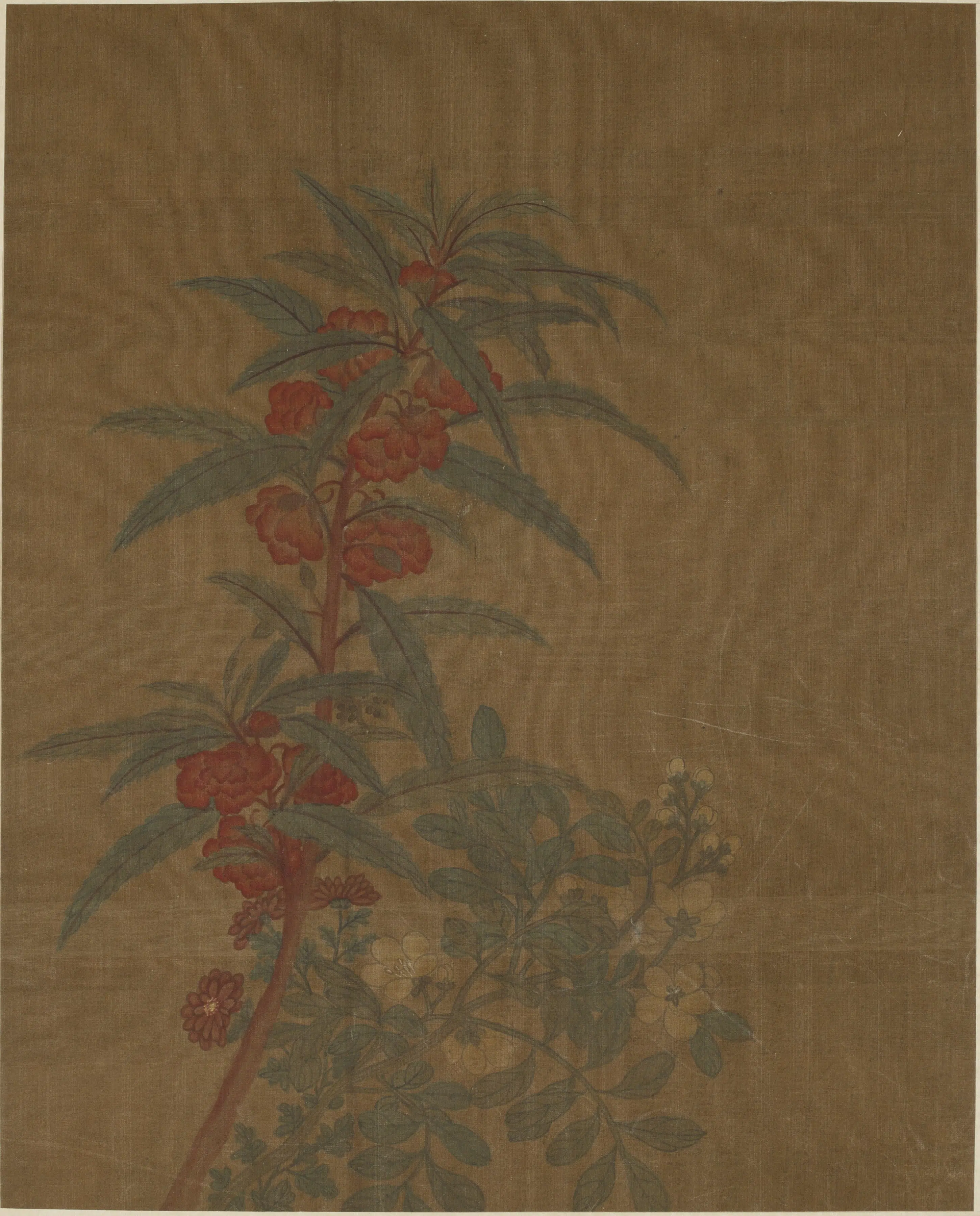 宋朝【黄居寀】《花卉图册八开》 第4张