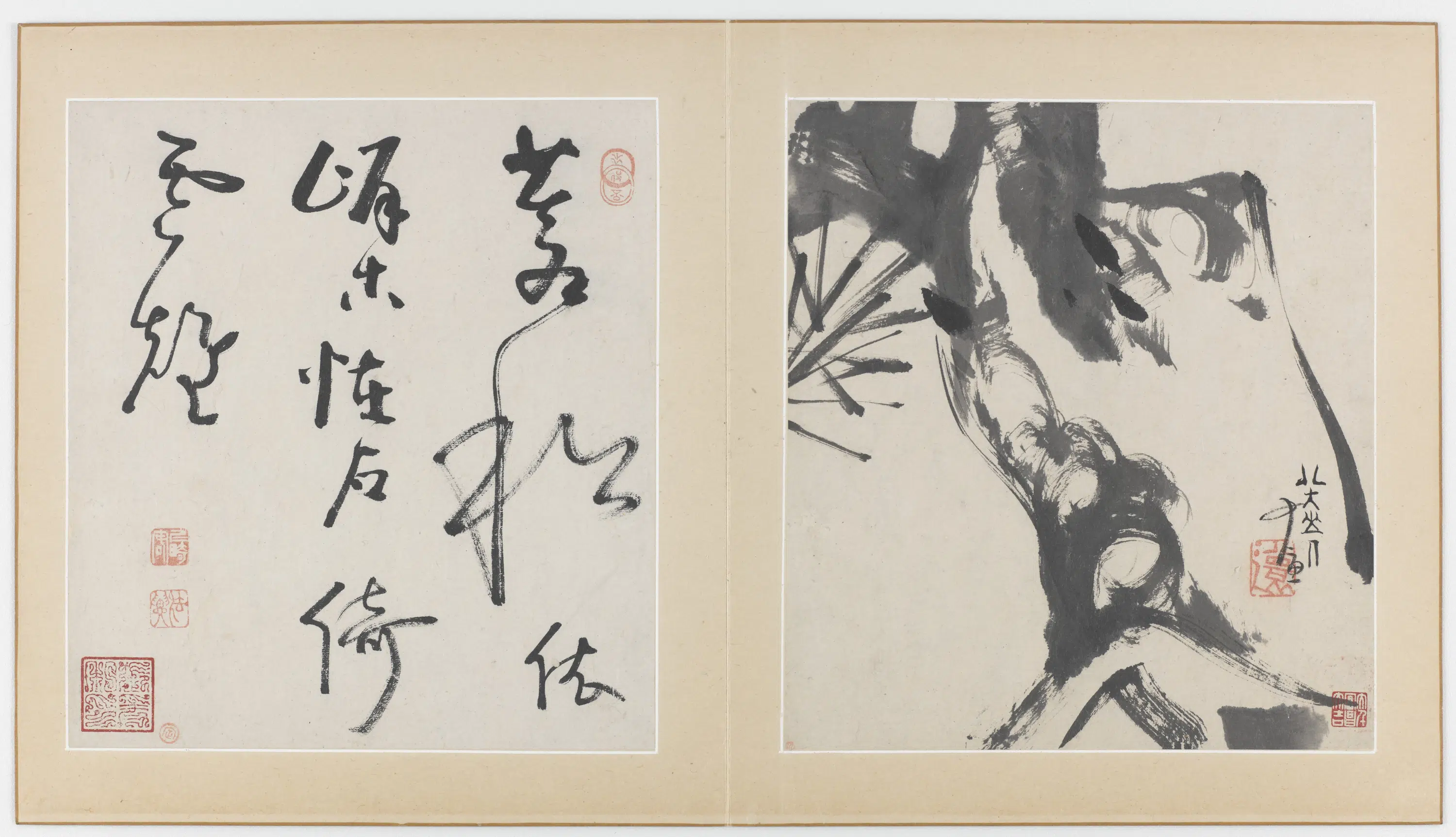 清朝【朱耷】《花鸟虫鱼图册(十一开)》 第3张