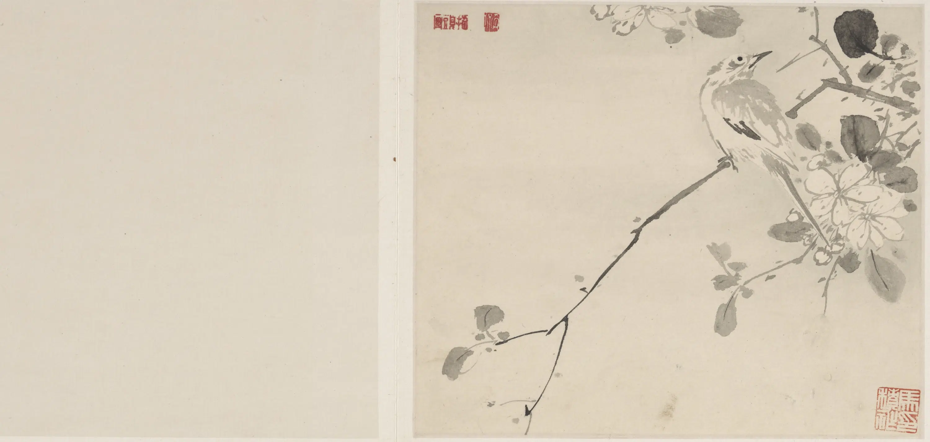 清朝【刘期侃】《花枝栖禽图》