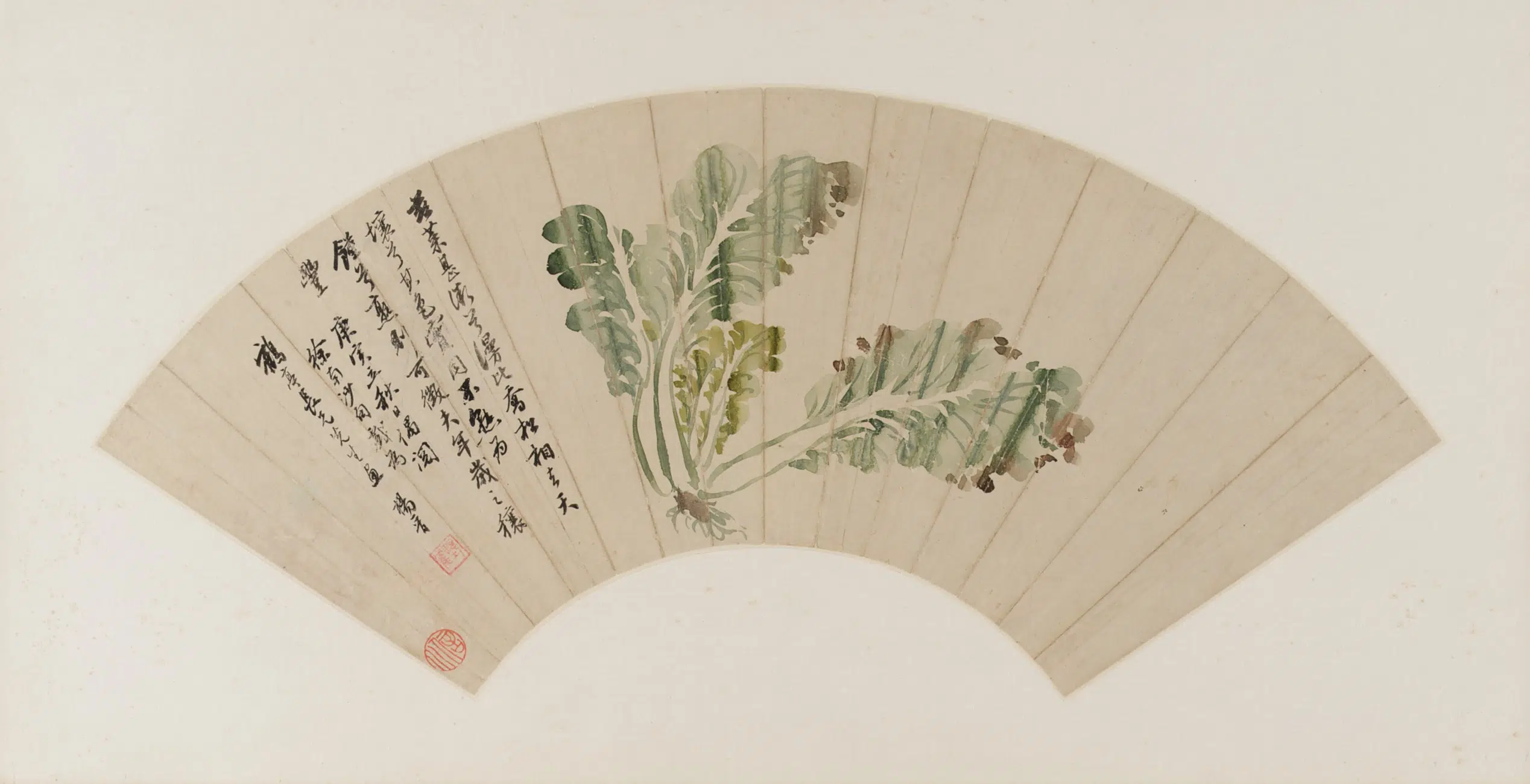 清朝【杨晋】《白菜图》