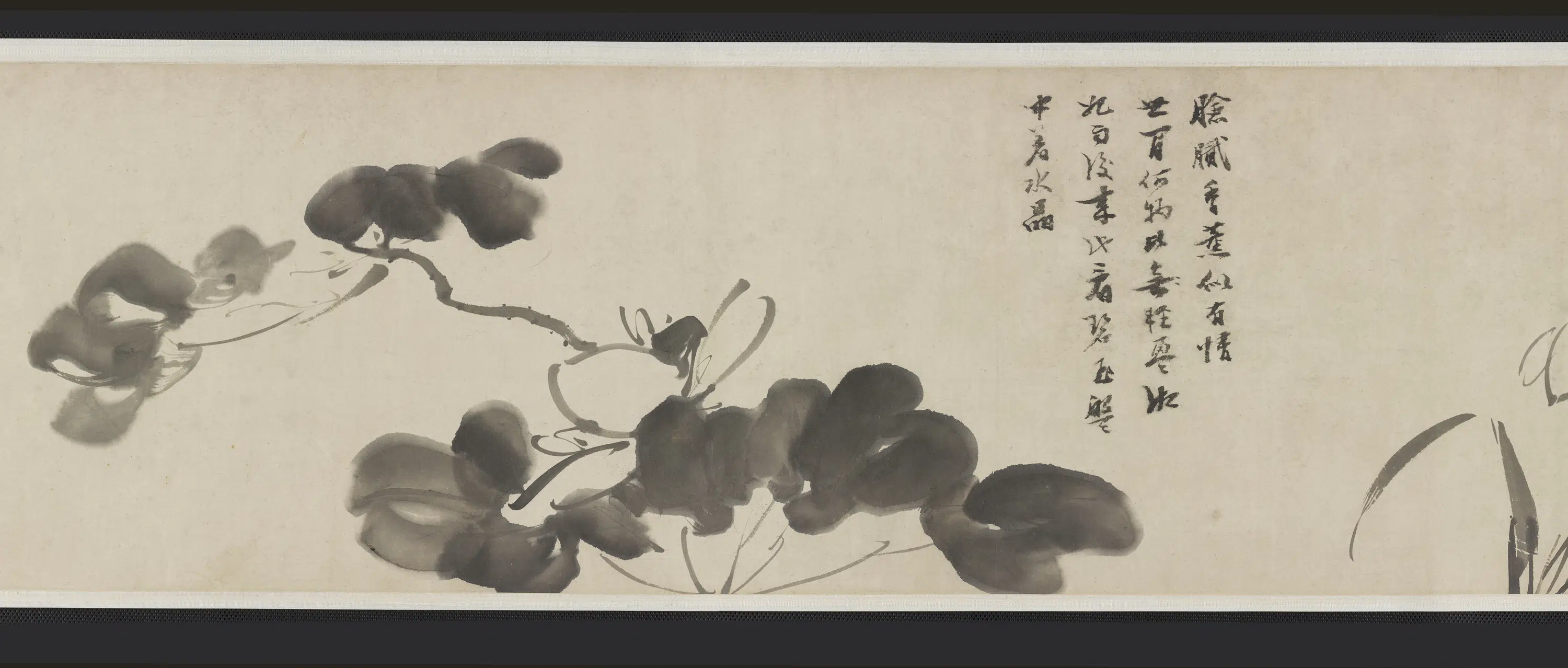 明朝【倪元璐】《墨笔六种花卉画卷》 第5张