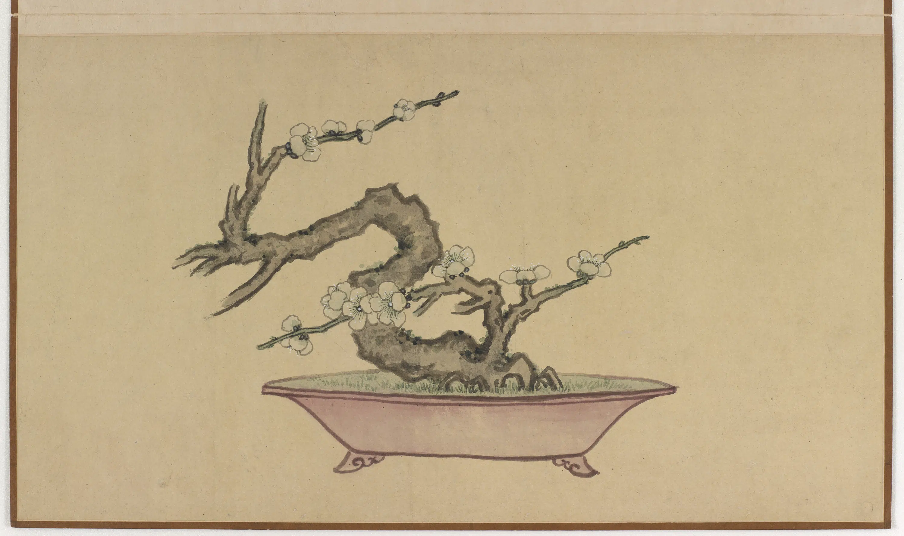明朝【孙克弘】《盆石花卉册-红梅》