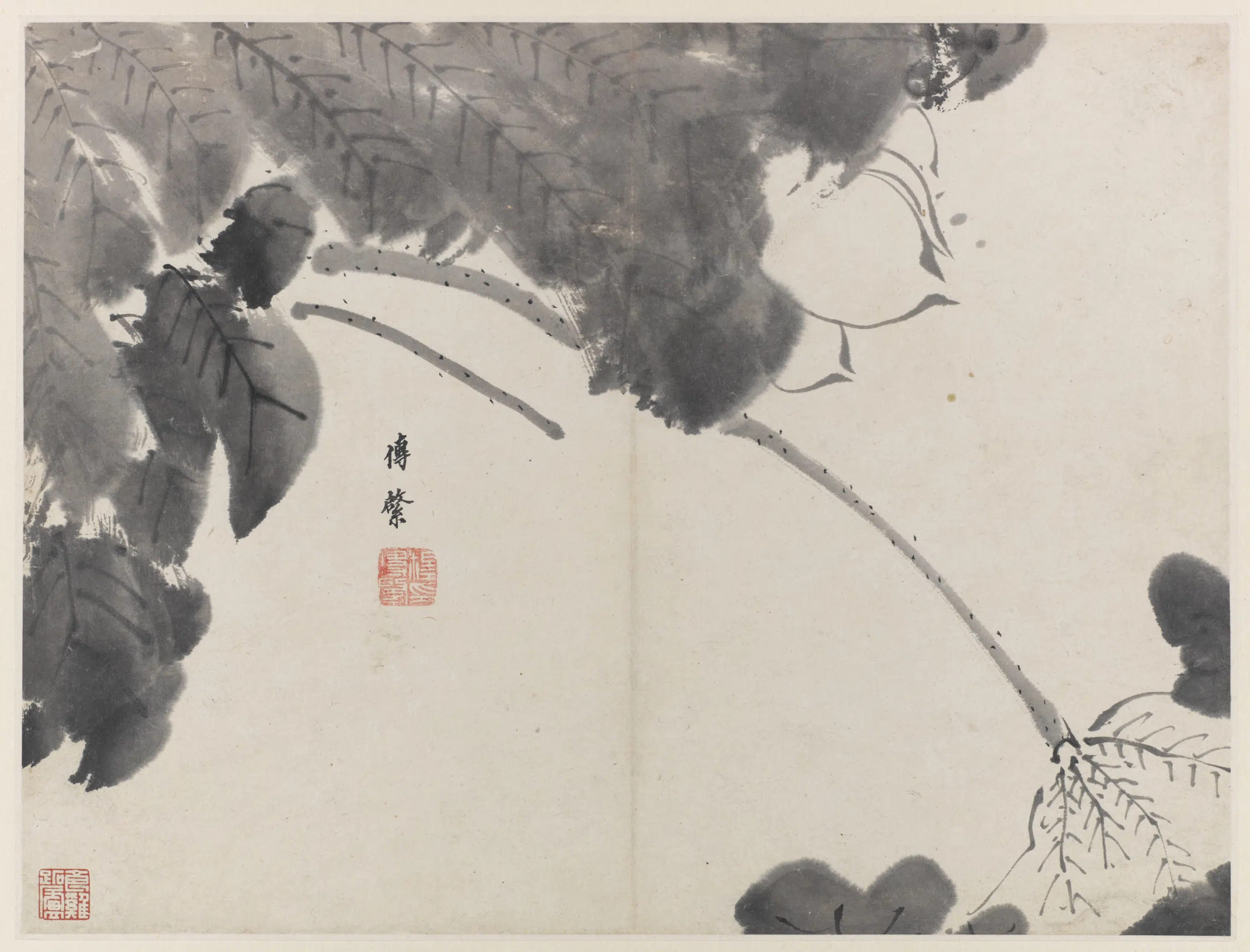 清朝【朱耷】《荷花图册八开》 第11张