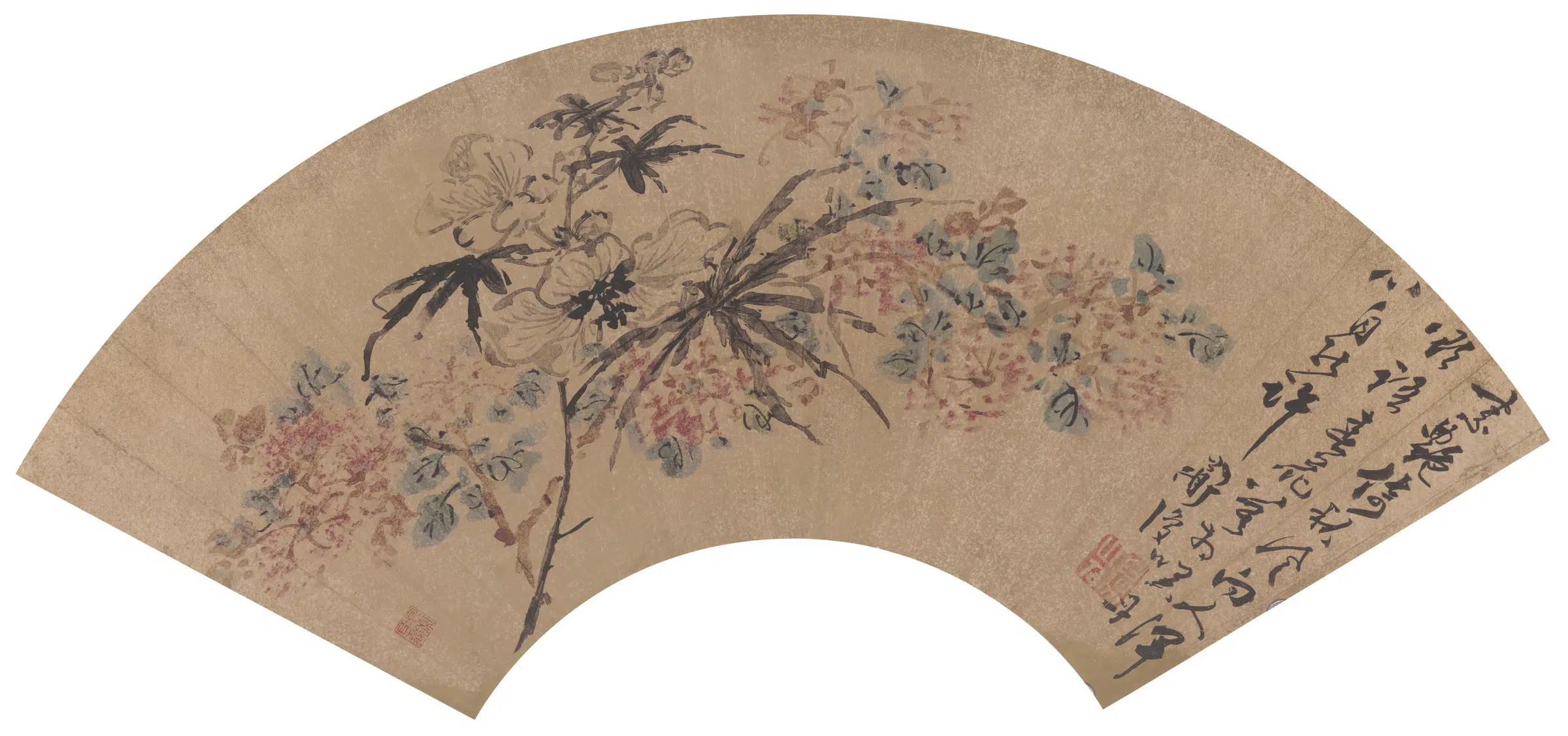 明朝【陈淳】《花卉扇面》