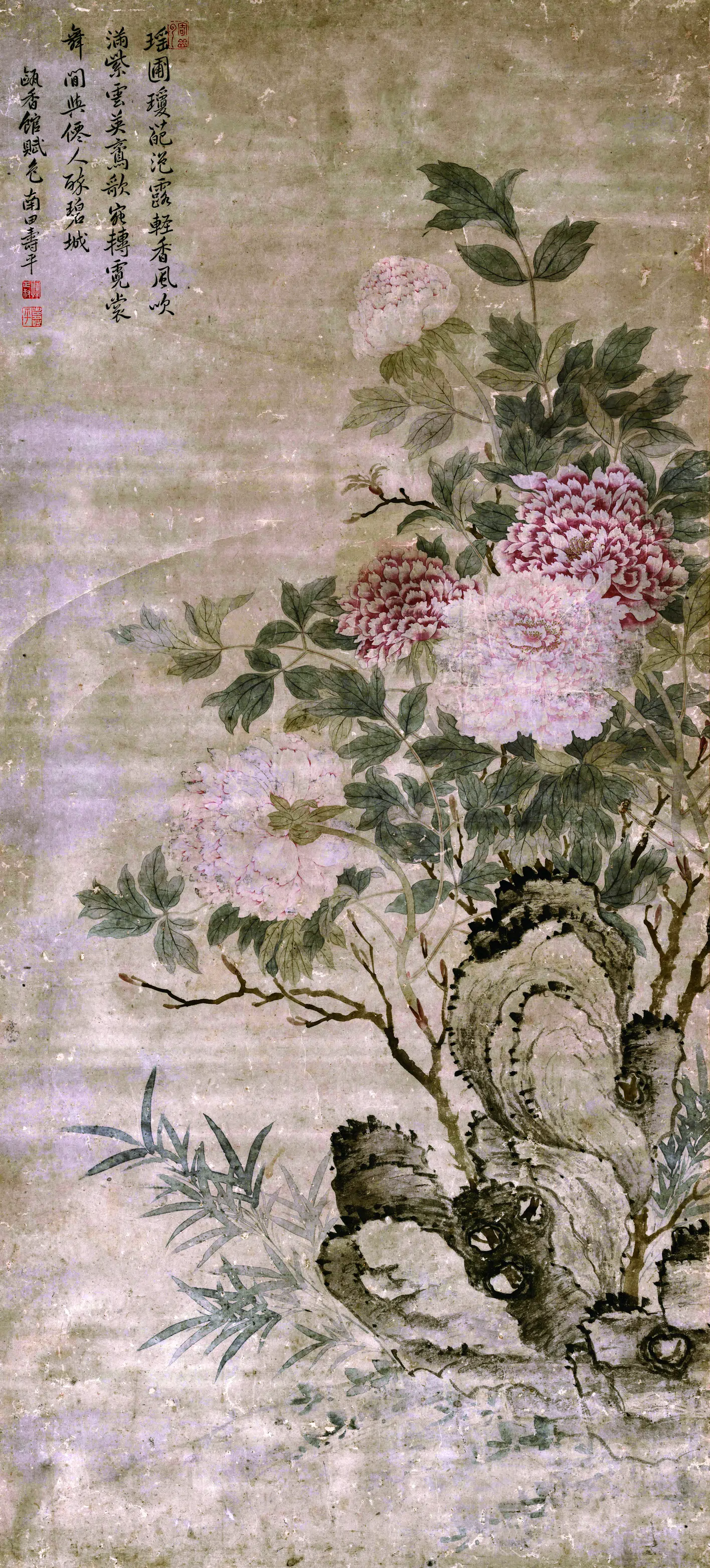 清代【恽寿平】《没骨牡丹图》 第1张