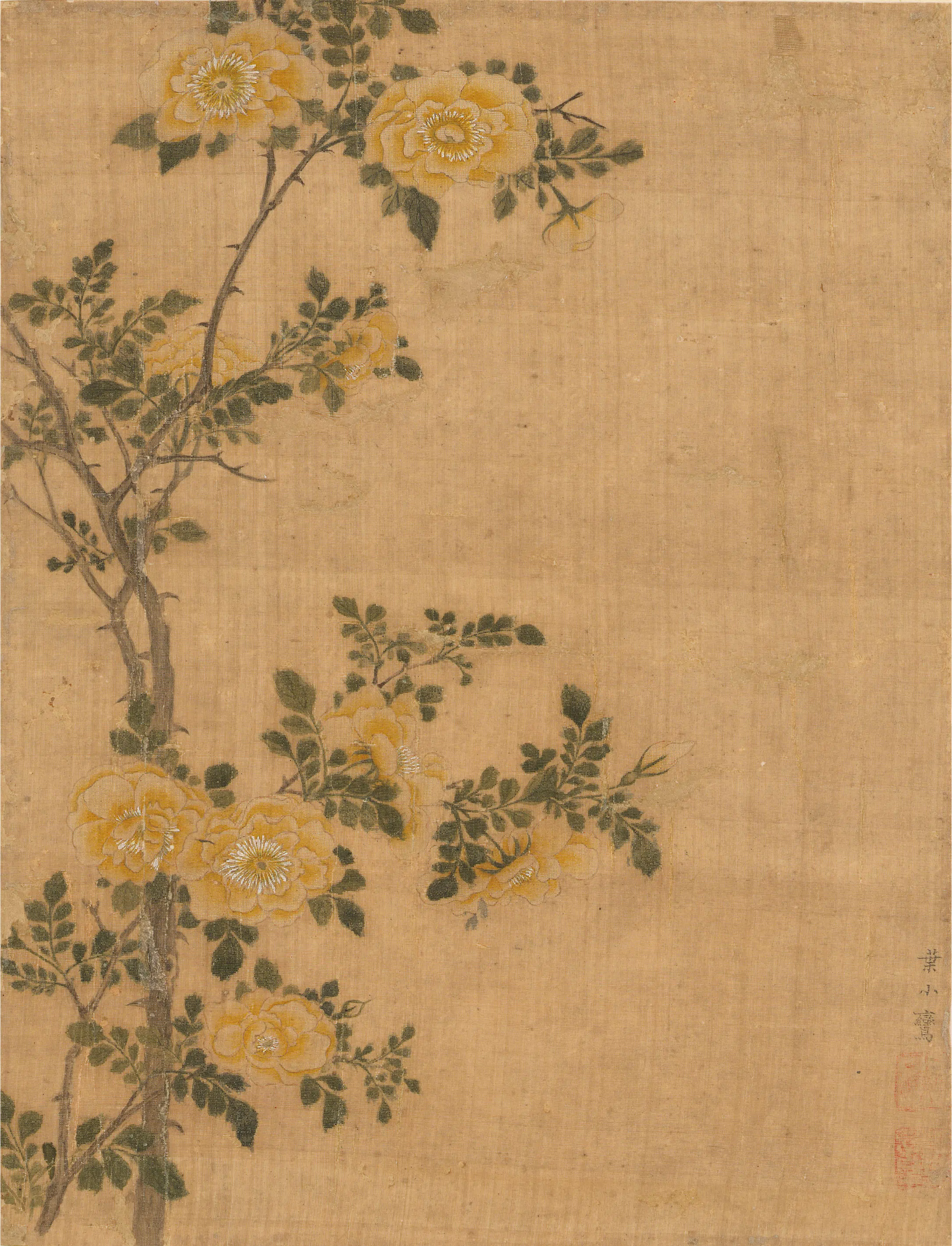 明朝【叶小鸾】《月季花》