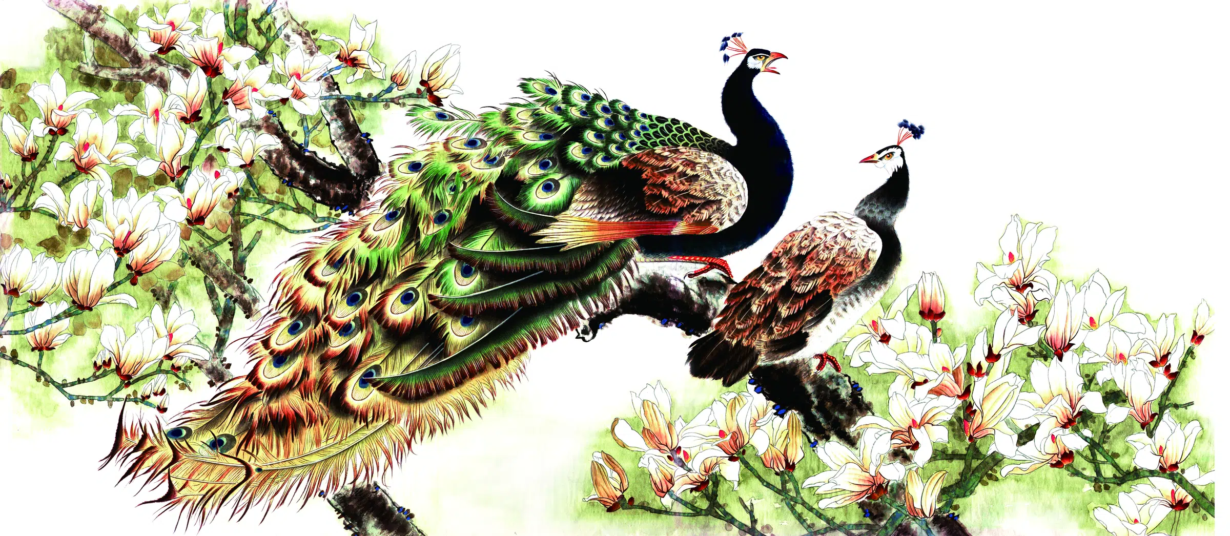近现代【张玉明】《孔雀-2》
