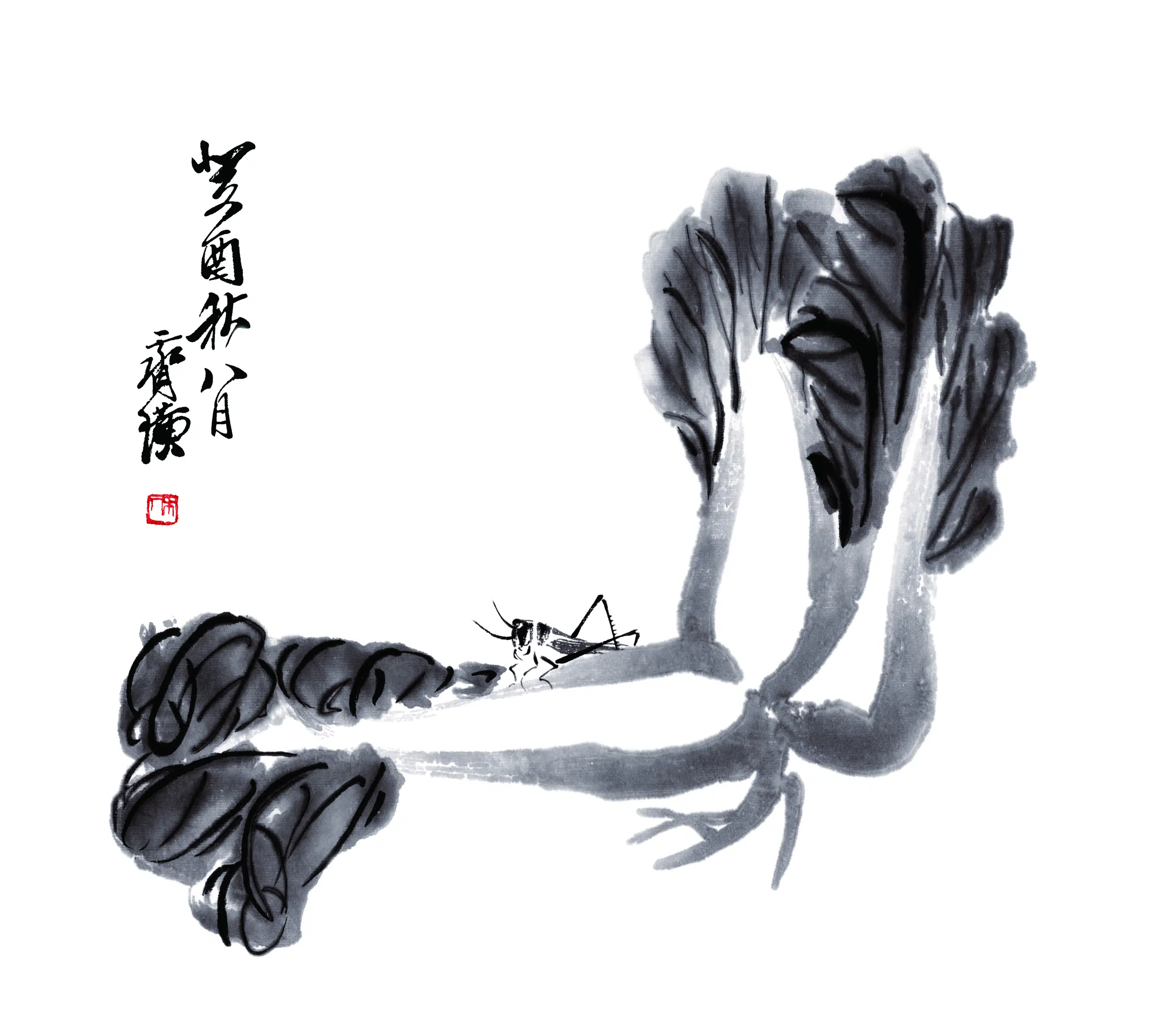 近现代【齐白石】《菜圃》