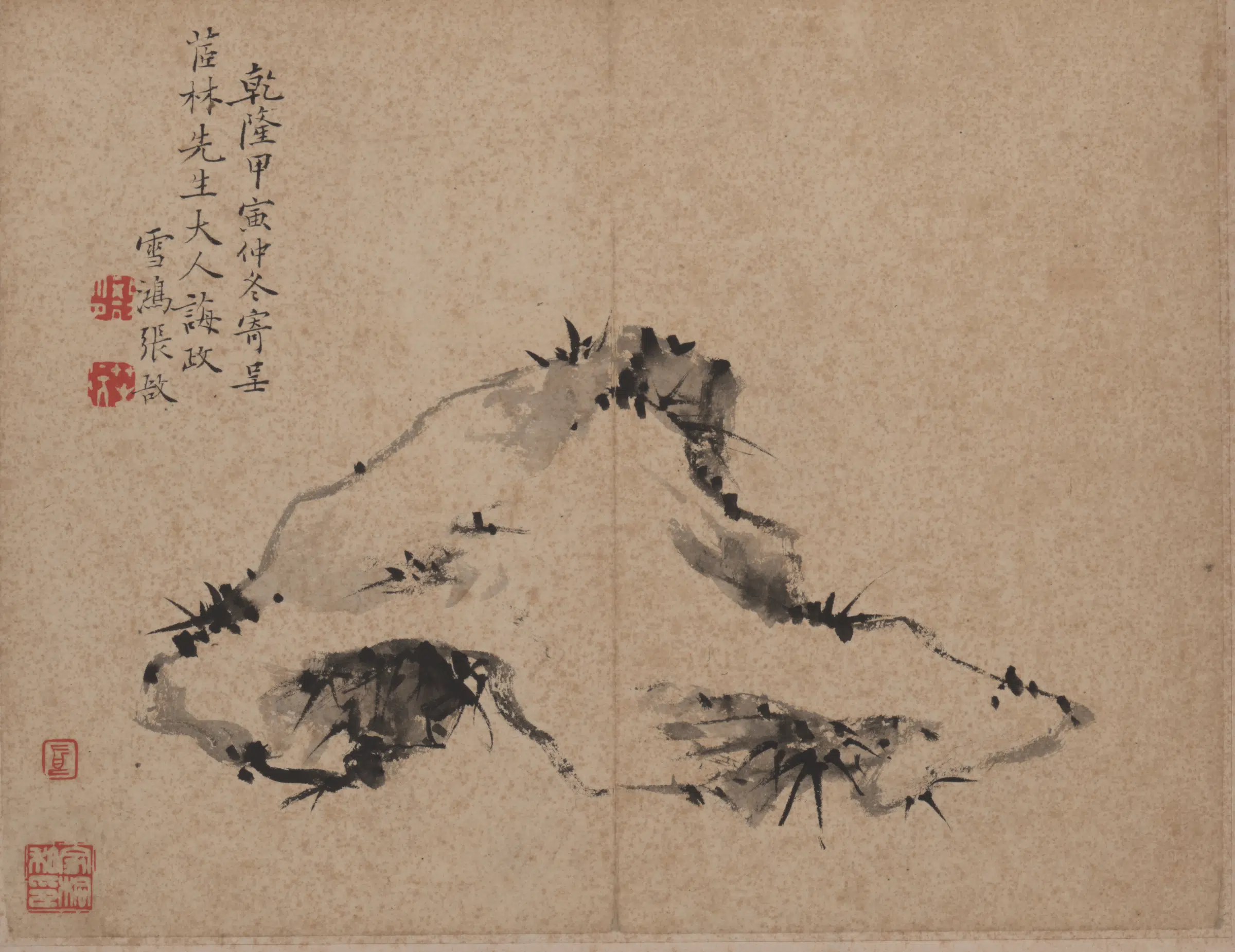 【张敔】《花卉图册-3》