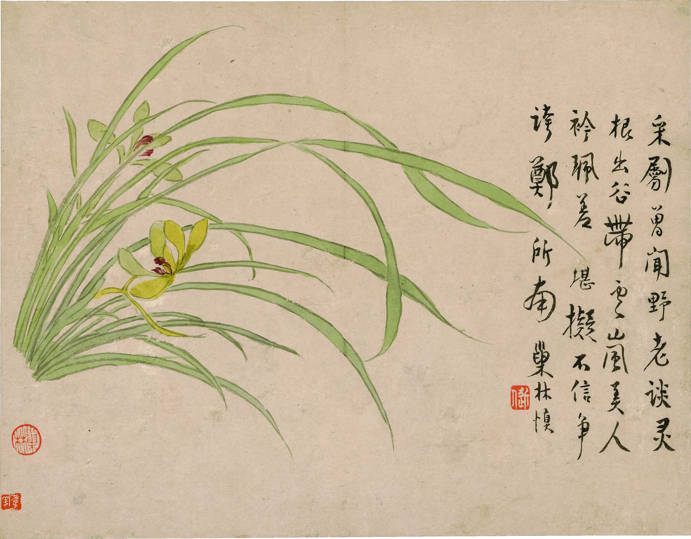 清代【汪士慎】《花卉图册-8》