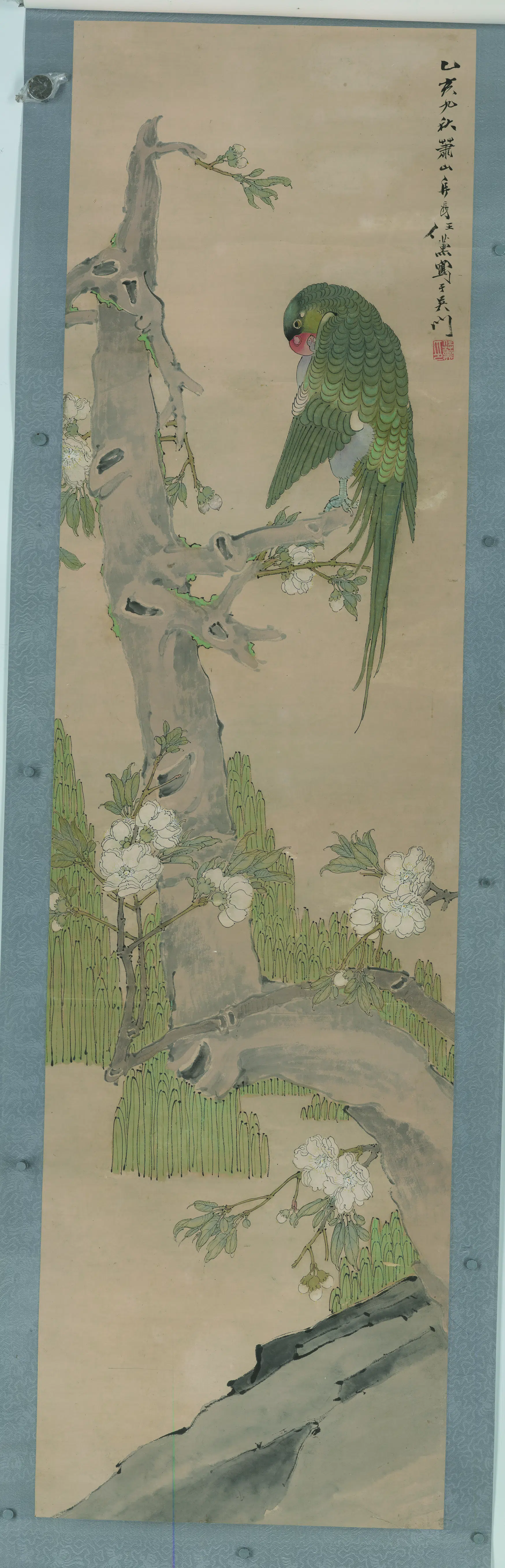 清代【任薰】《梨花鹦鹉图》