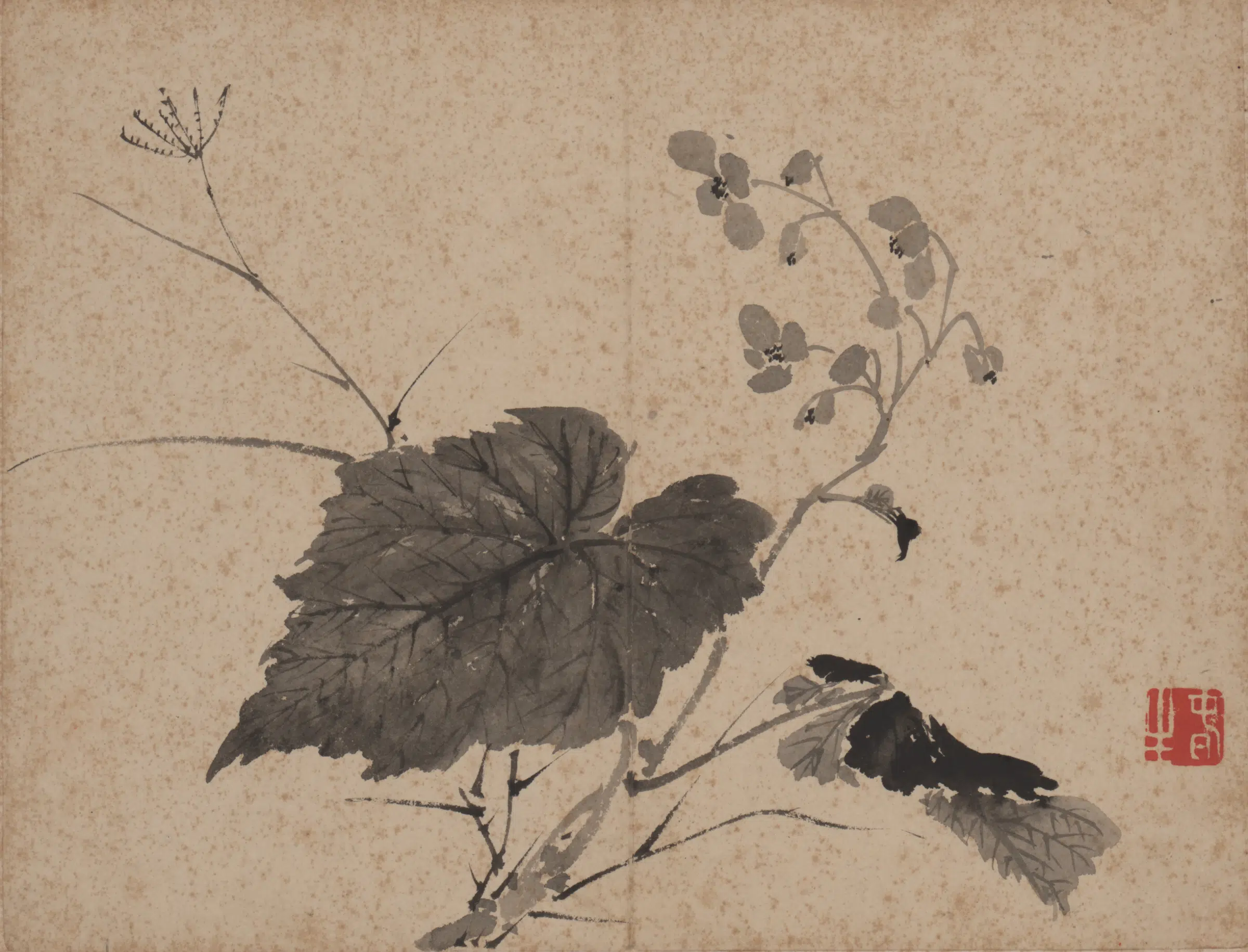 【张敔】《花卉图册-2》