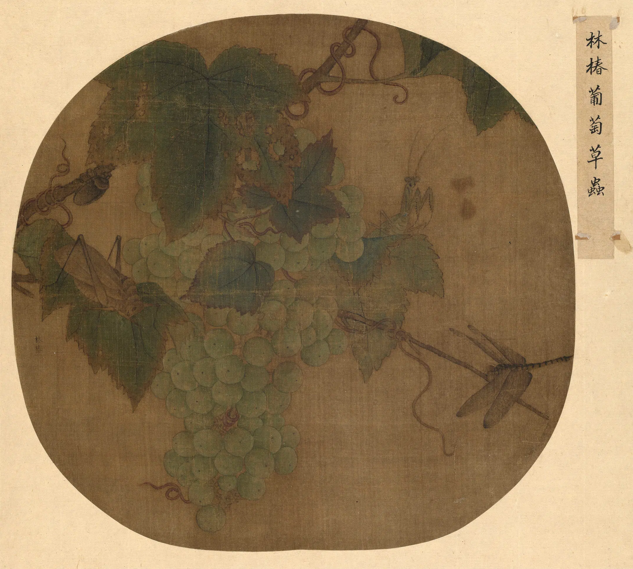 宋代【林椿】《葡萄草虫图页》