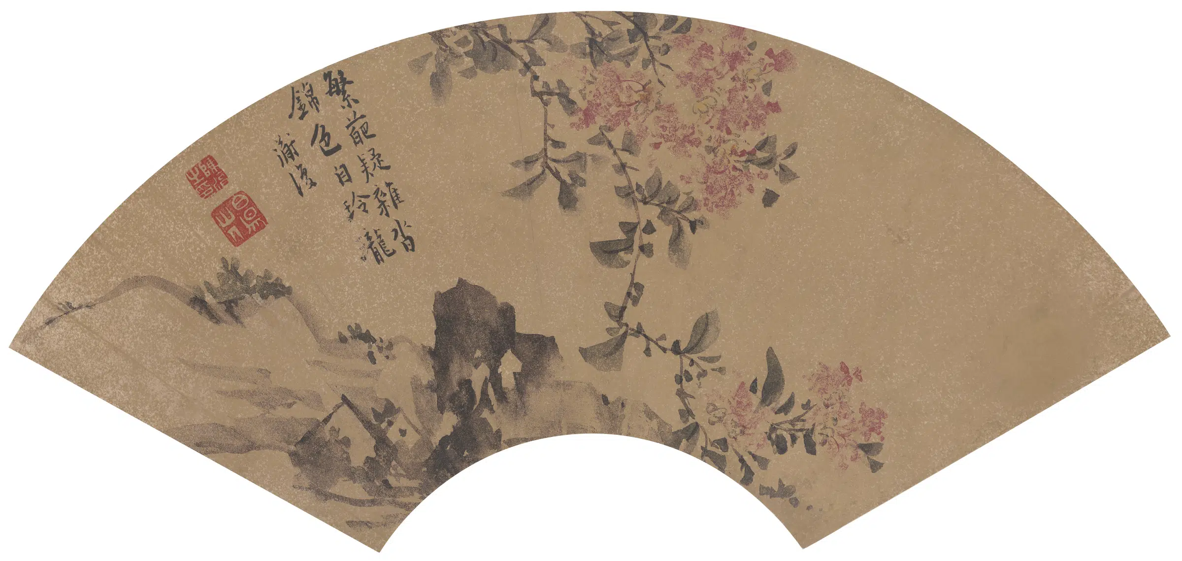 明朝【陈淳】《紫薇扇面》