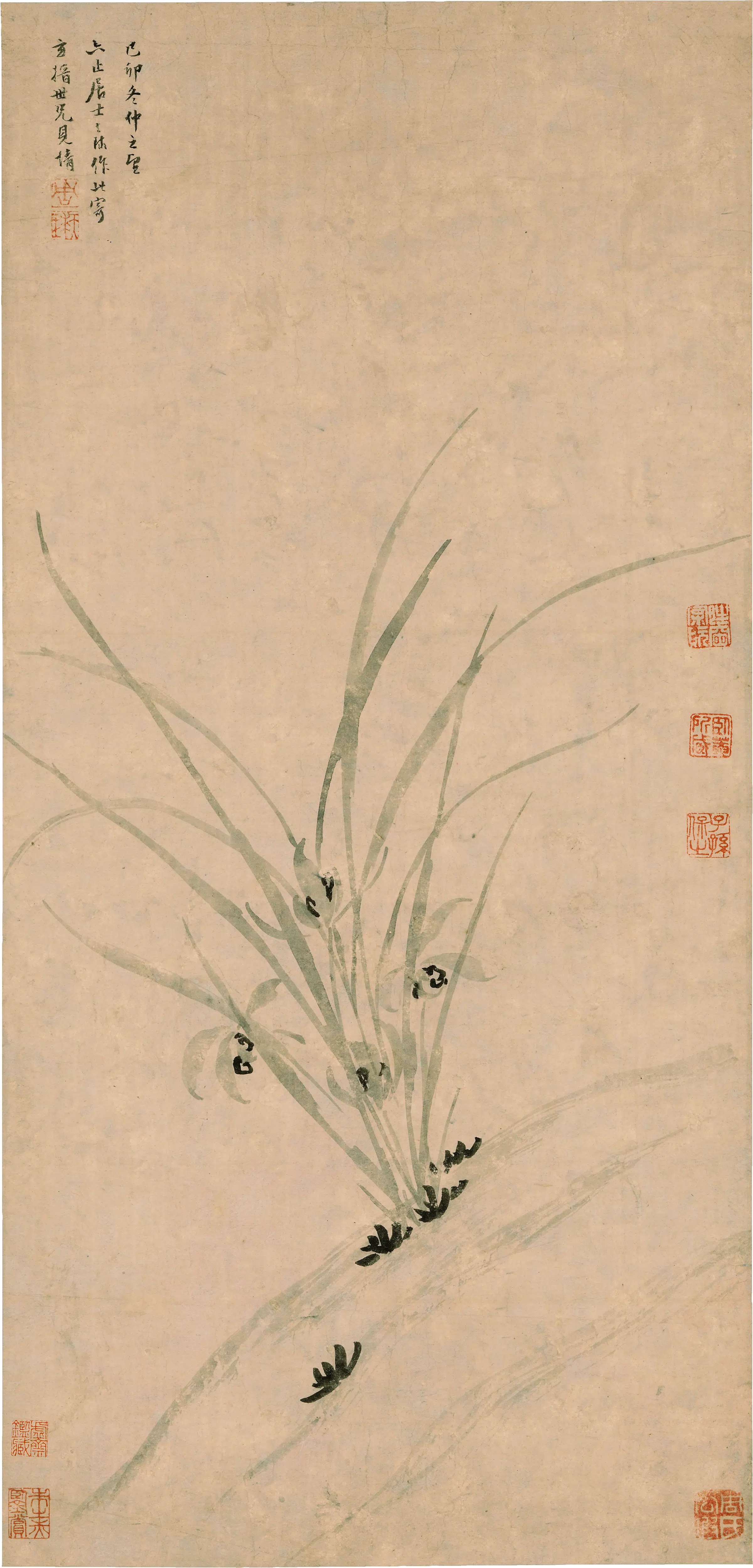明朝【周天球】《兰花图轴》