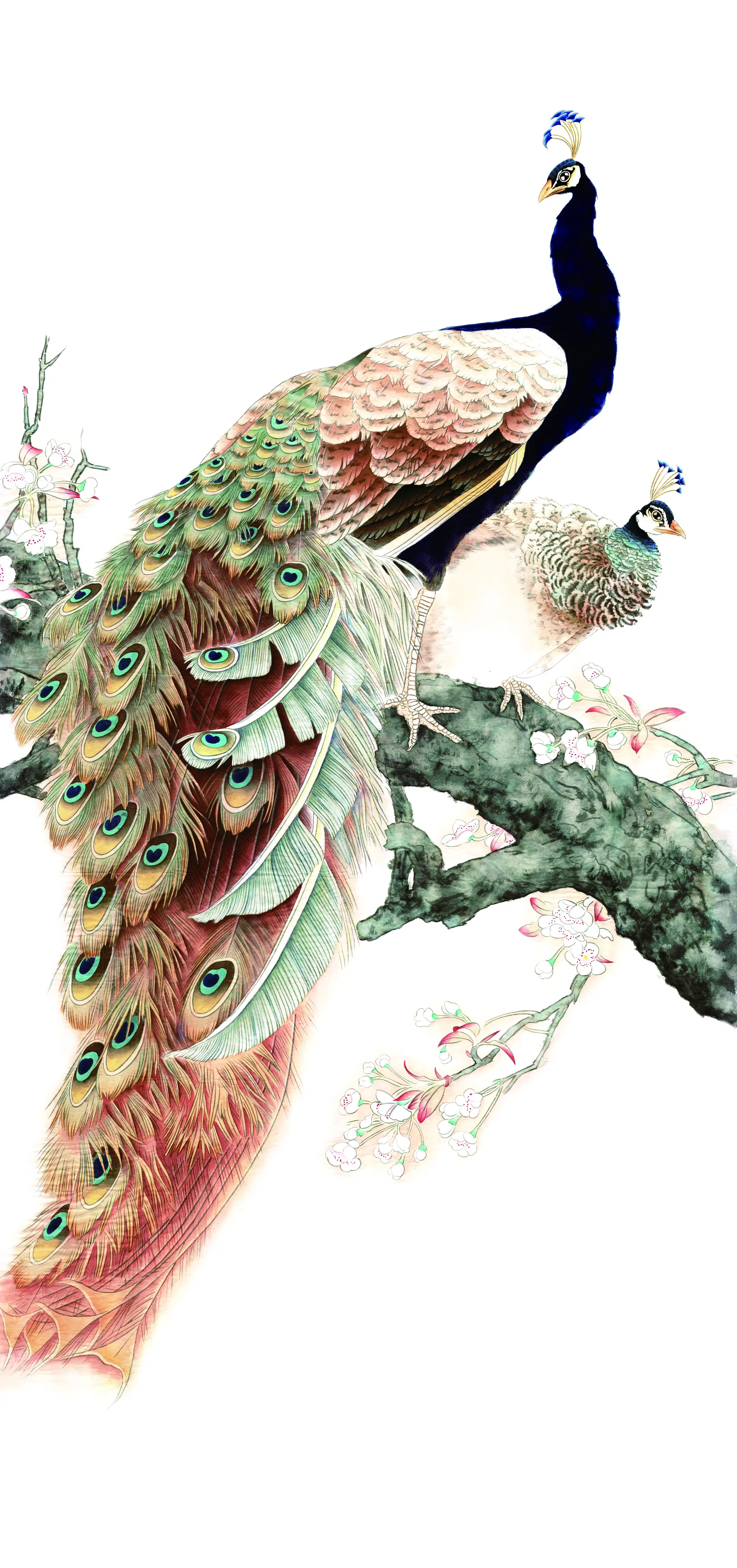 近现代【张玉明】《梅花双孔雀》 第1张