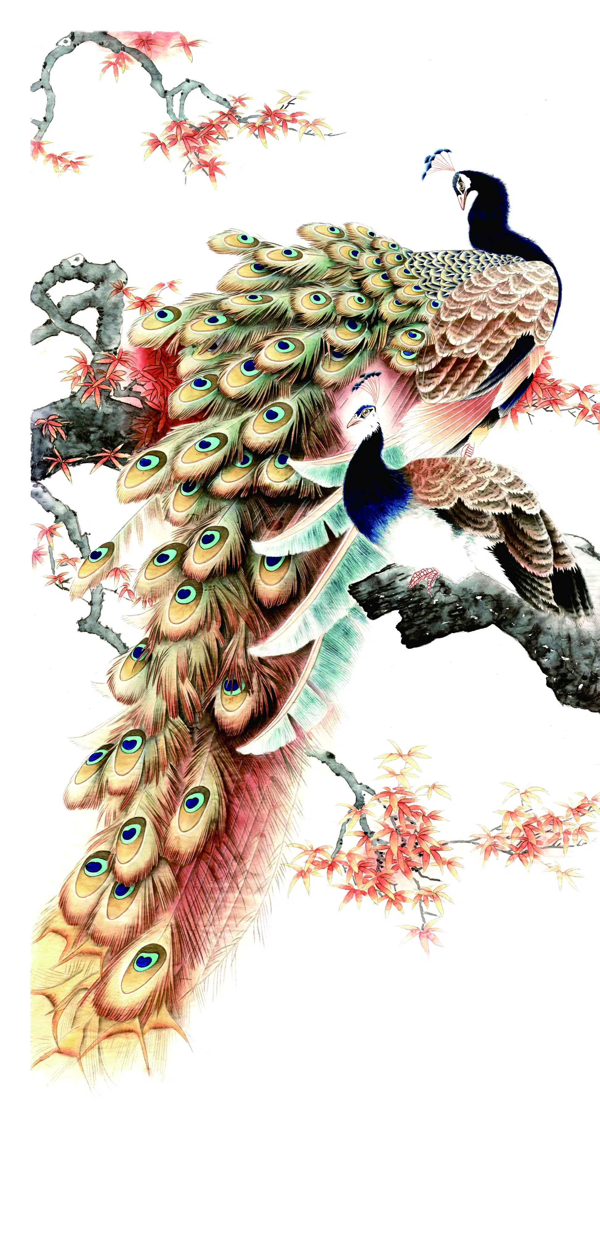 近现代【张玉明】《孔雀-1》