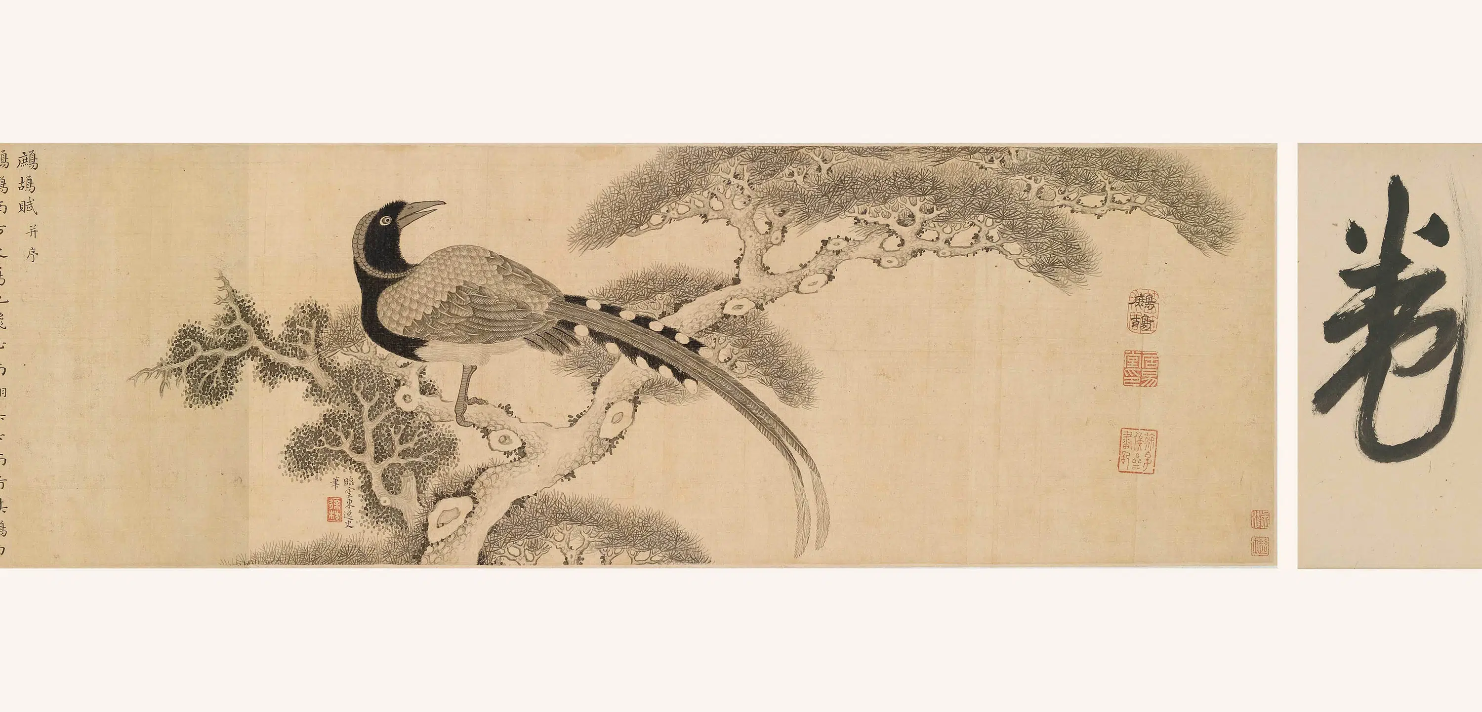 明朝【徐枋】《鹧鸪图卷》 第4张