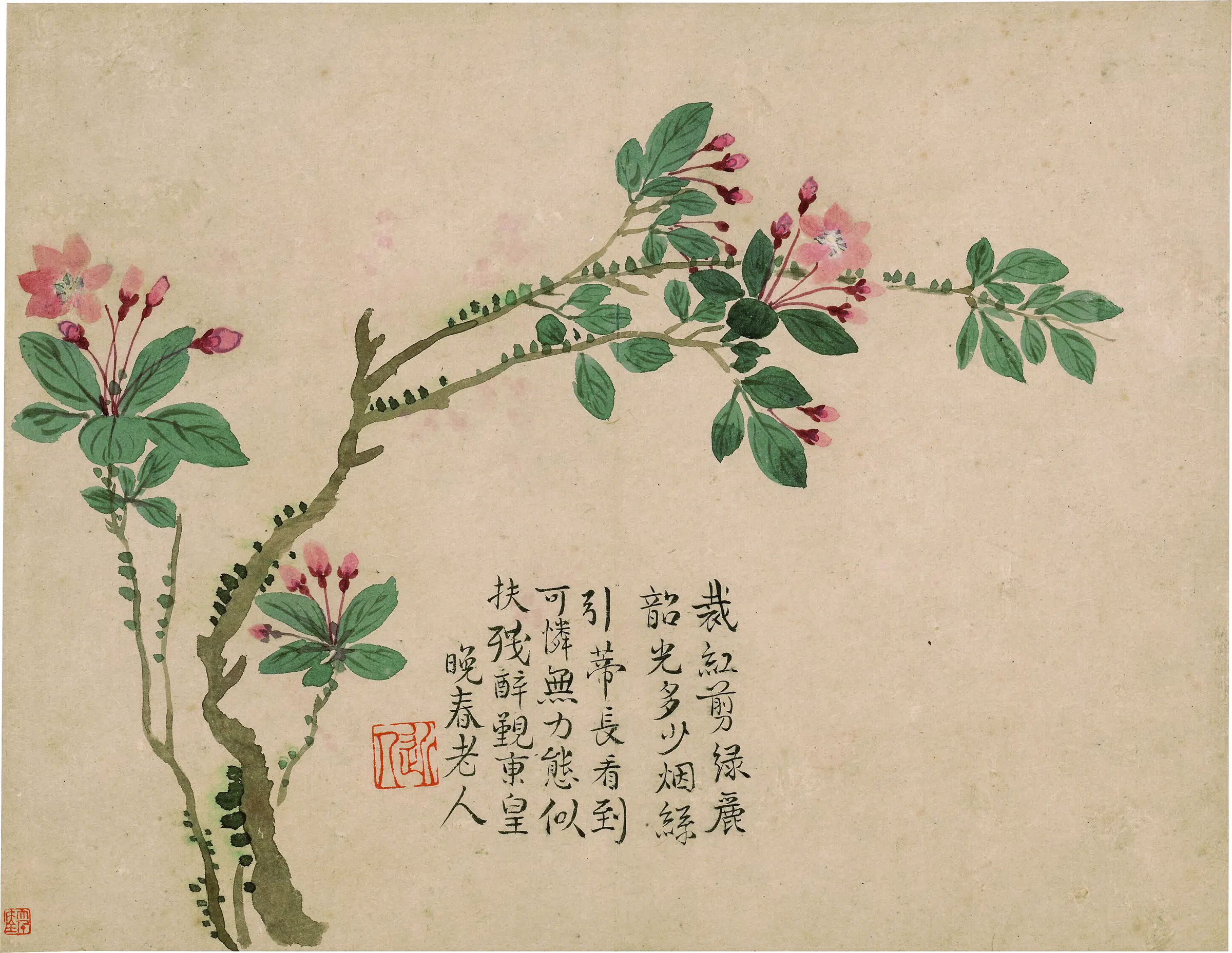 清代【汪士慎】《花卉图册-5》
