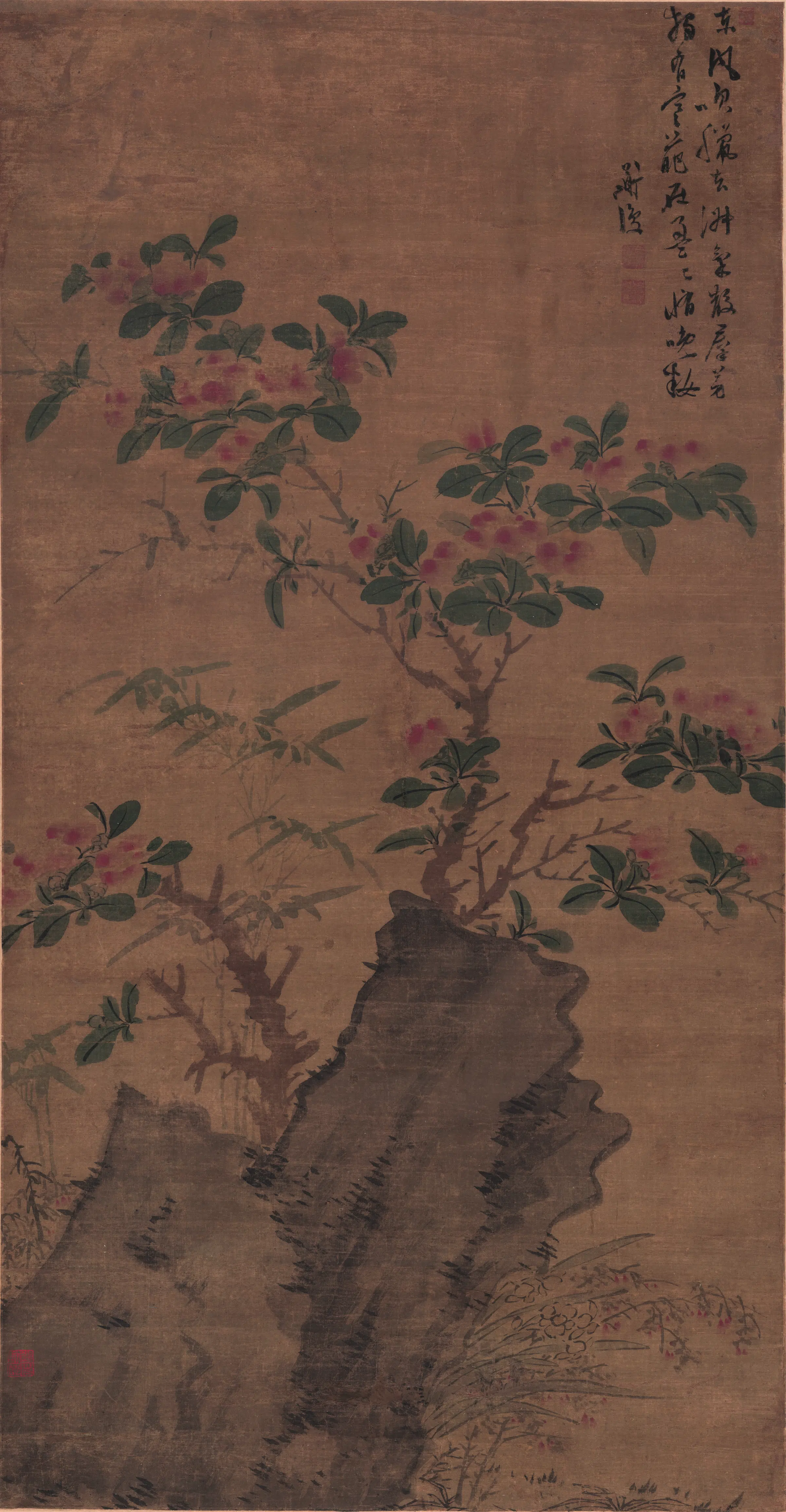明朝【陈淳】《山茶花图绢本》 第1张