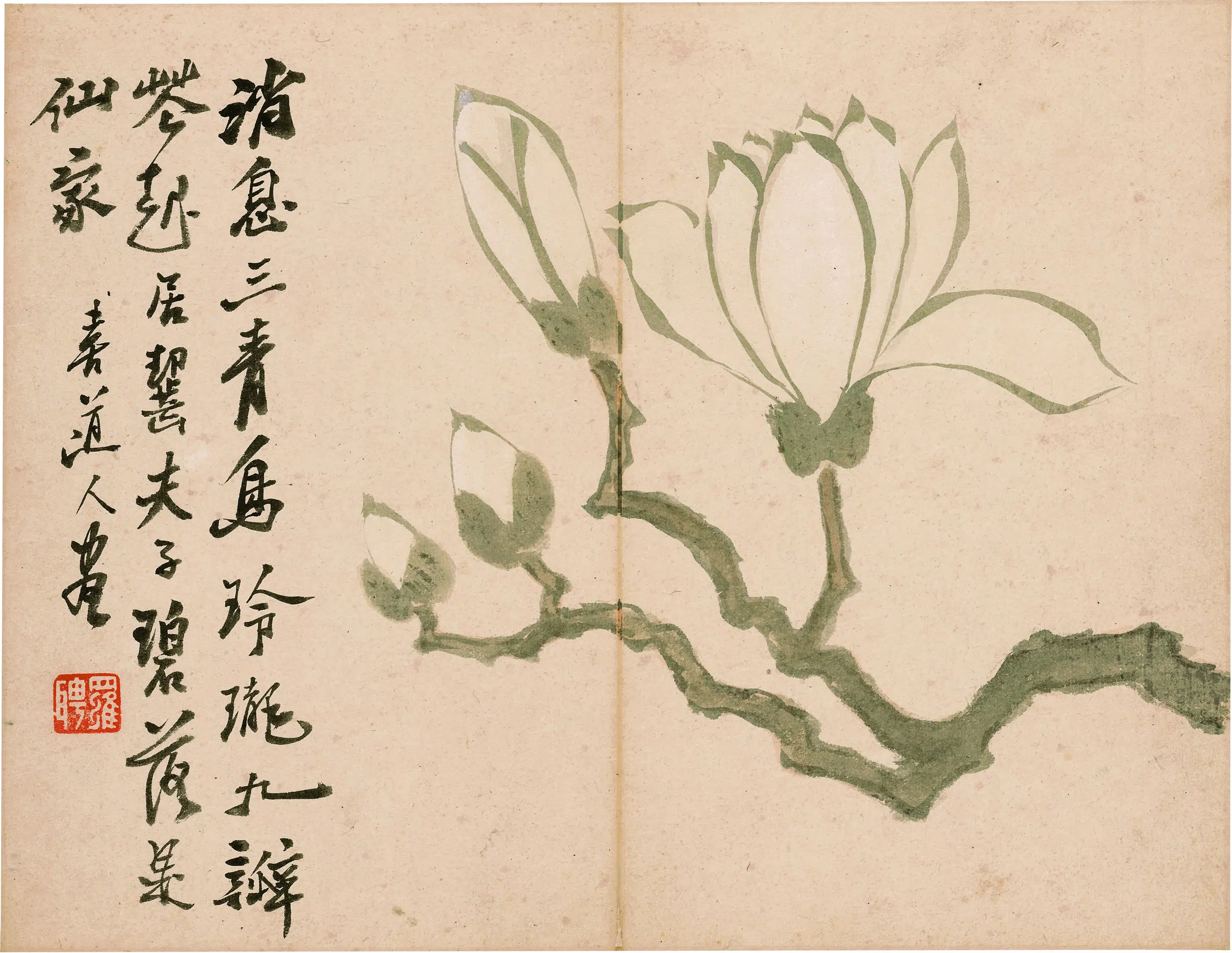 清代【罗聘】《花果图册-12》
