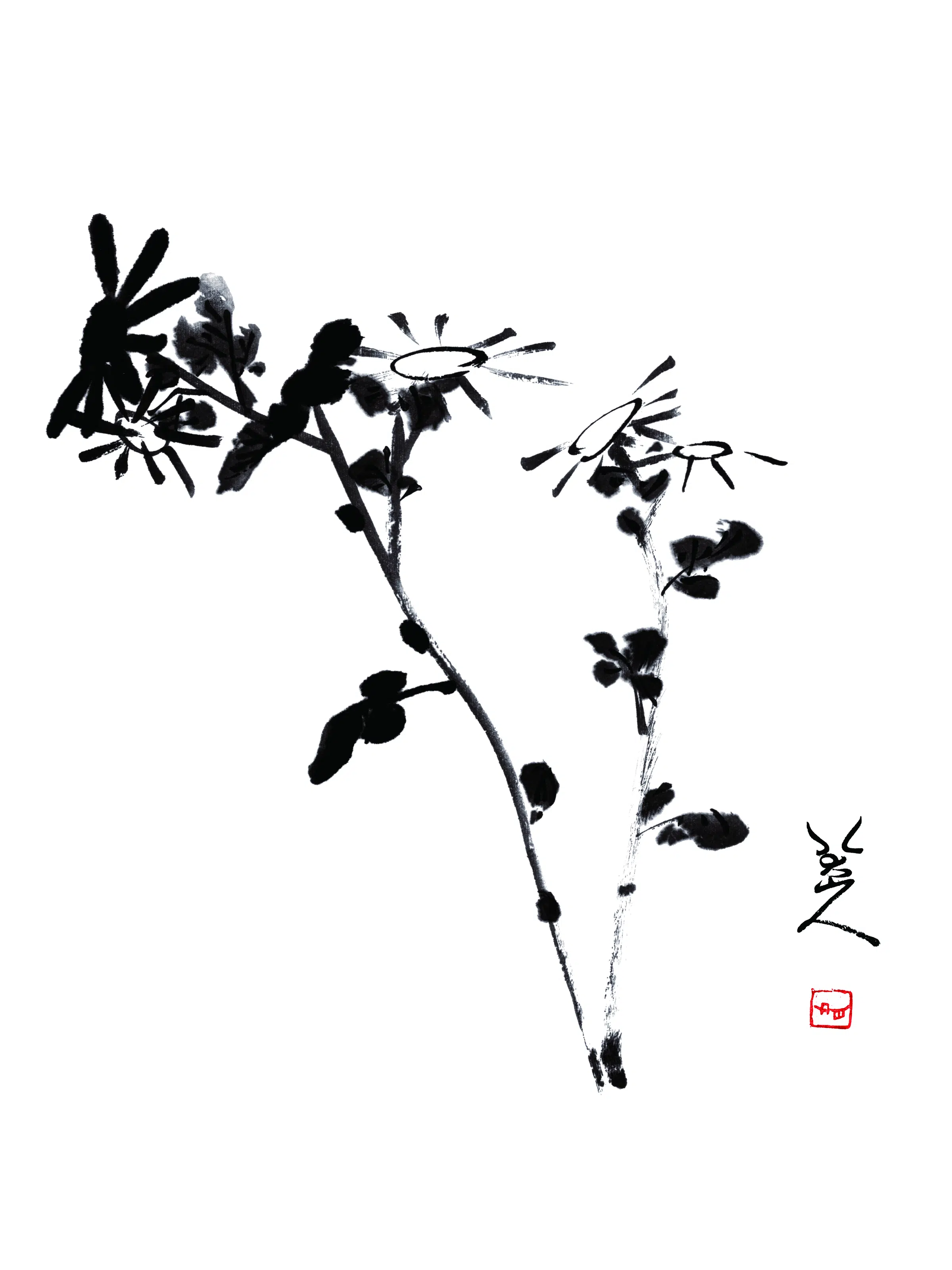 清代【朱耷】《花》