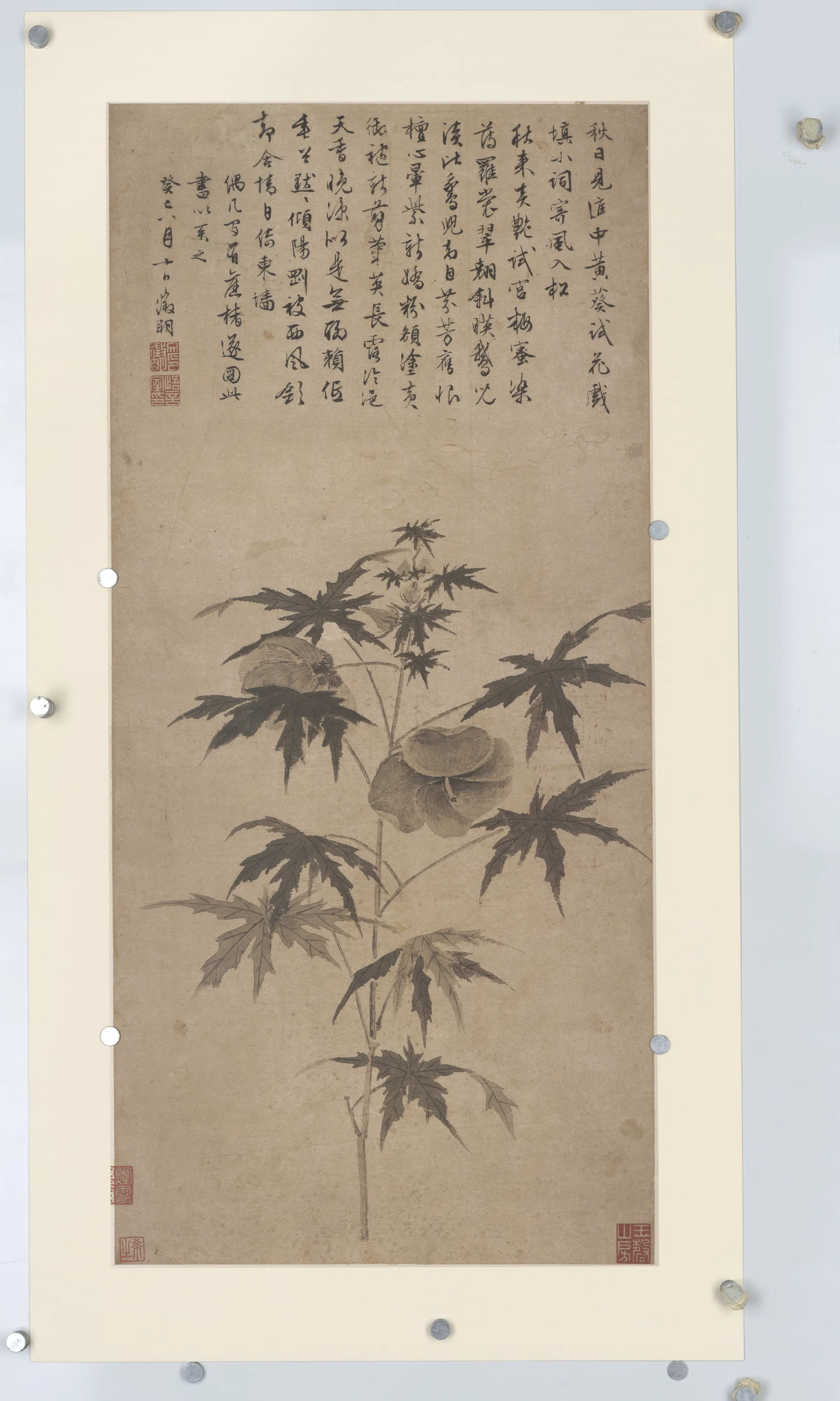 明朝【文征明】《秋葵折枝图》