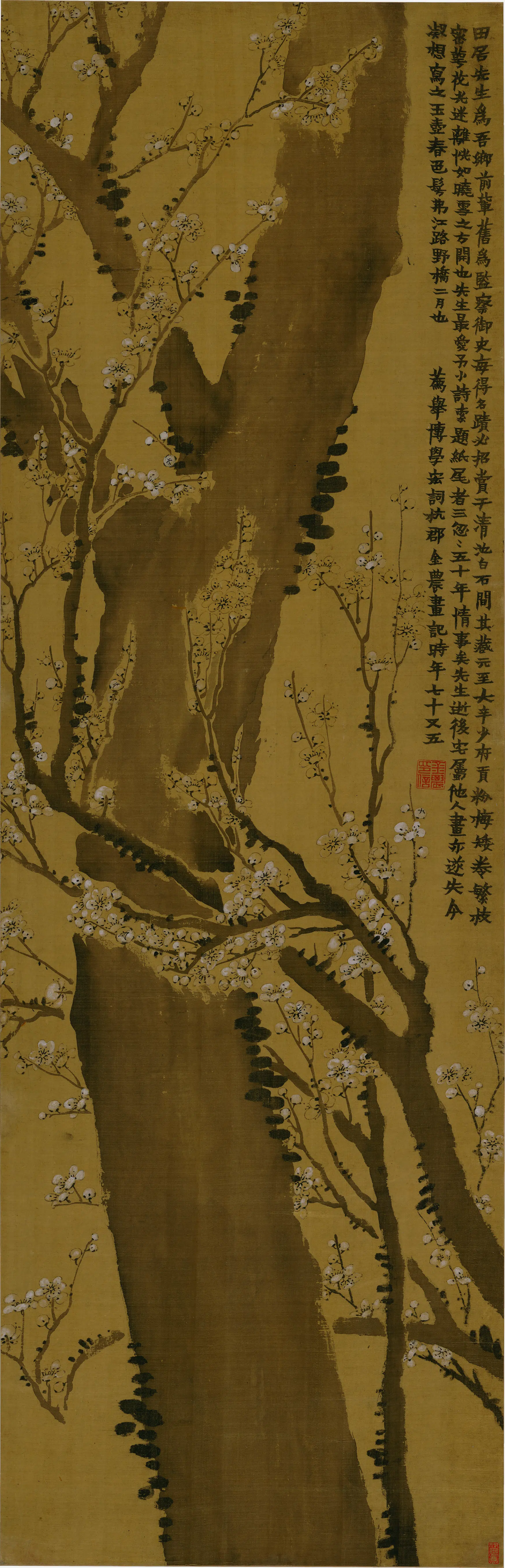 清代【金农】《梅树图轴》