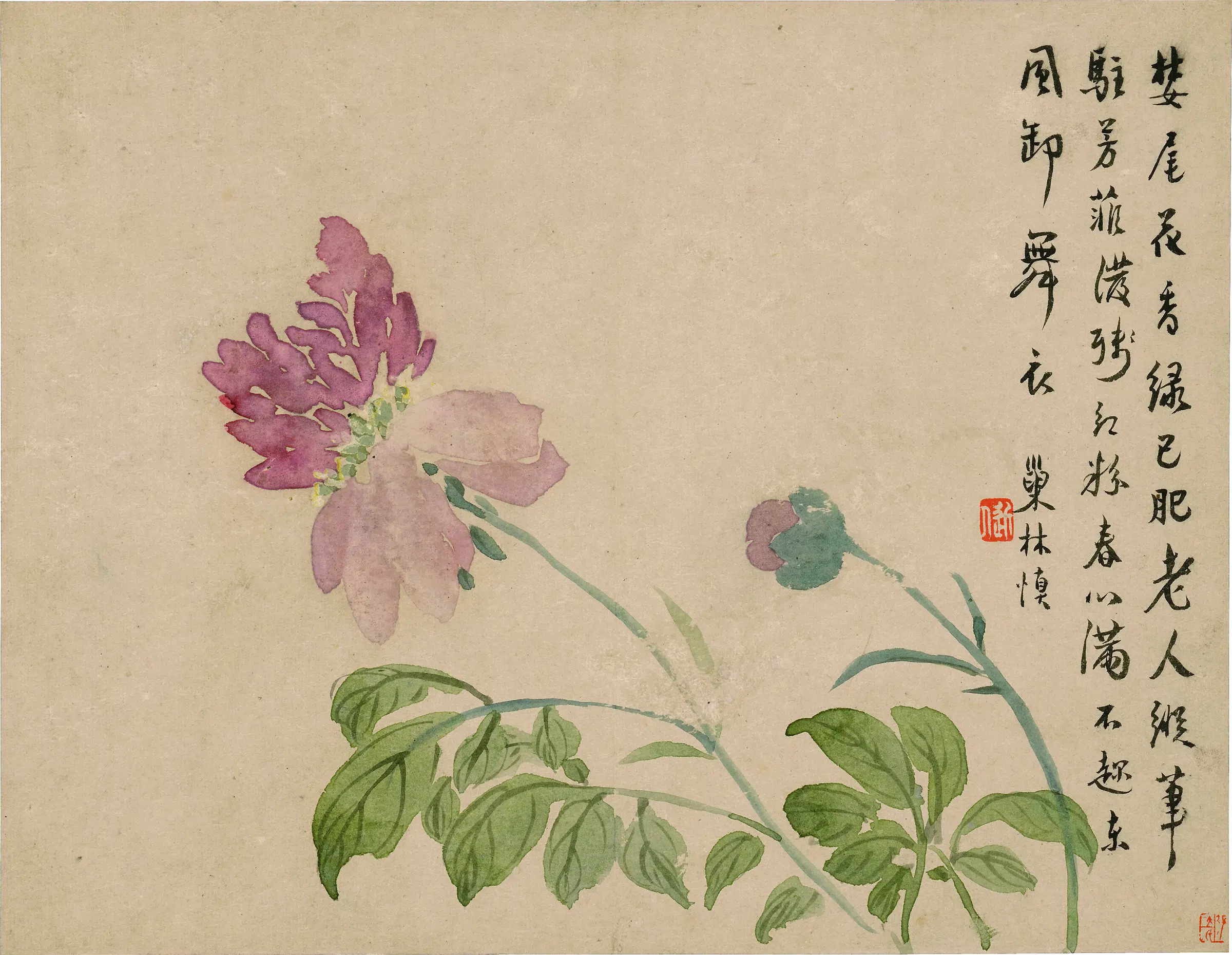 清代【汪士慎】《花卉图册-10》