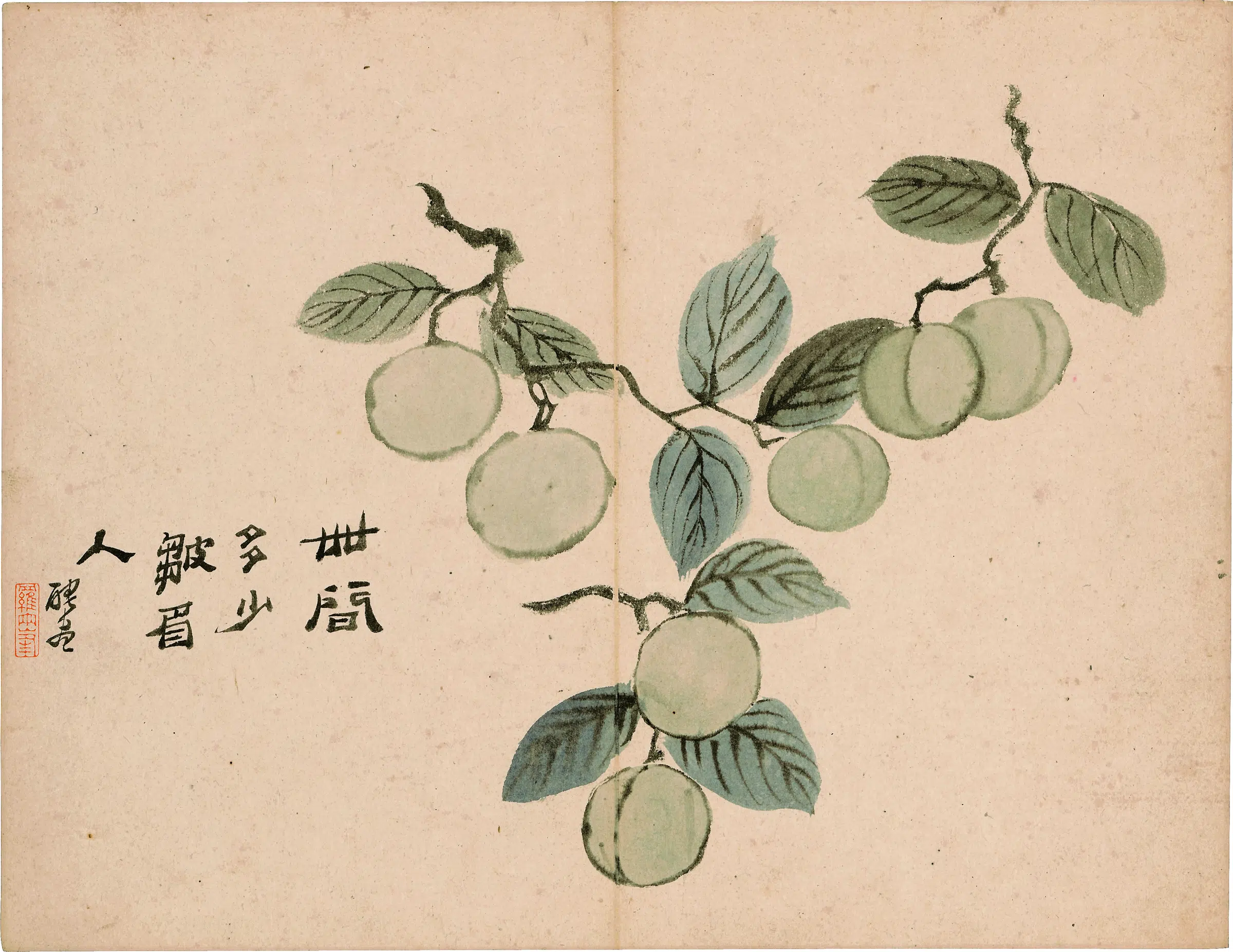 清代【罗聘】《花果图册-3》