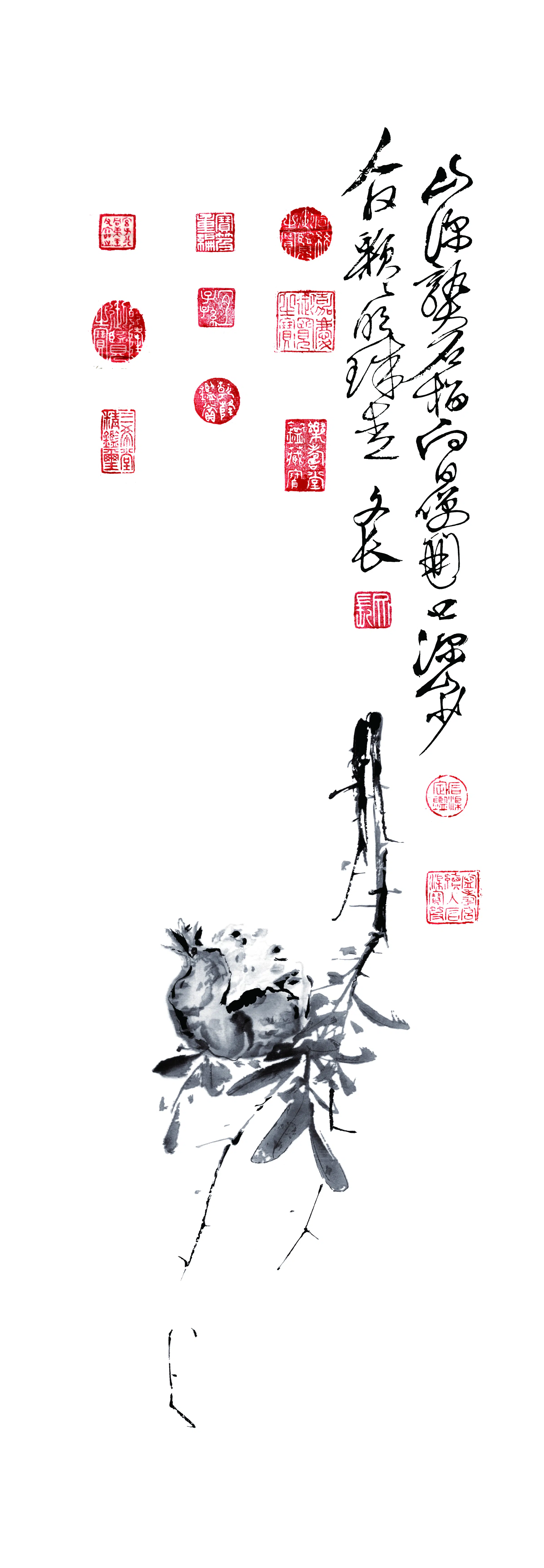 明朝【徐渭】《熟石榴》