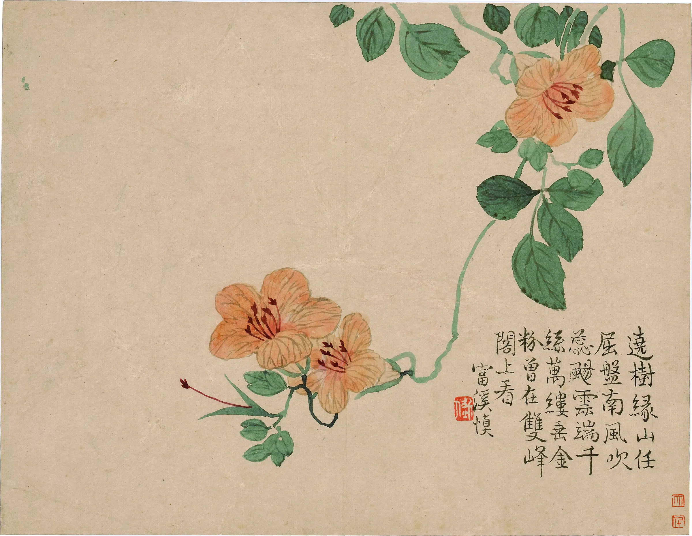 清代【汪士慎】《花卉图册-6》
