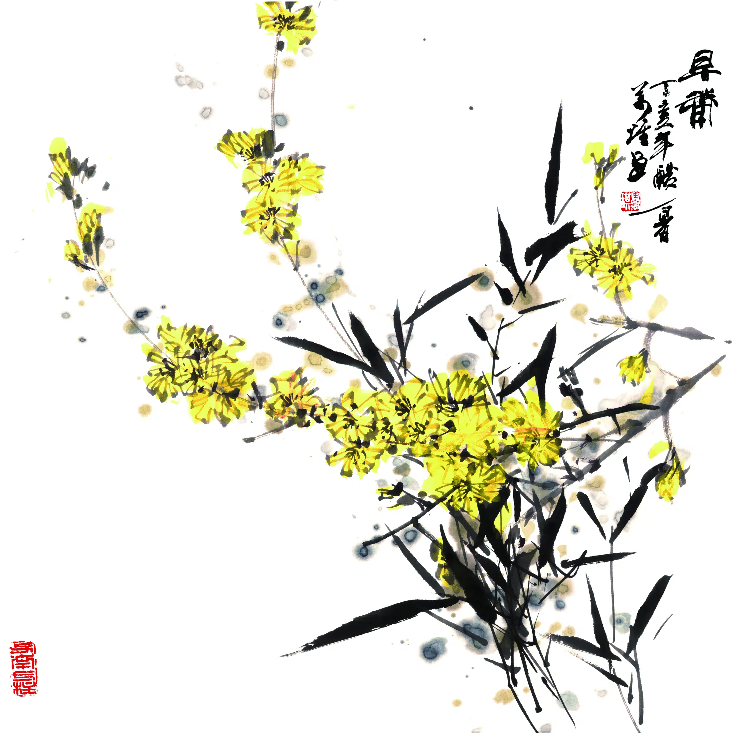 近现代【张万琪】《早菊》