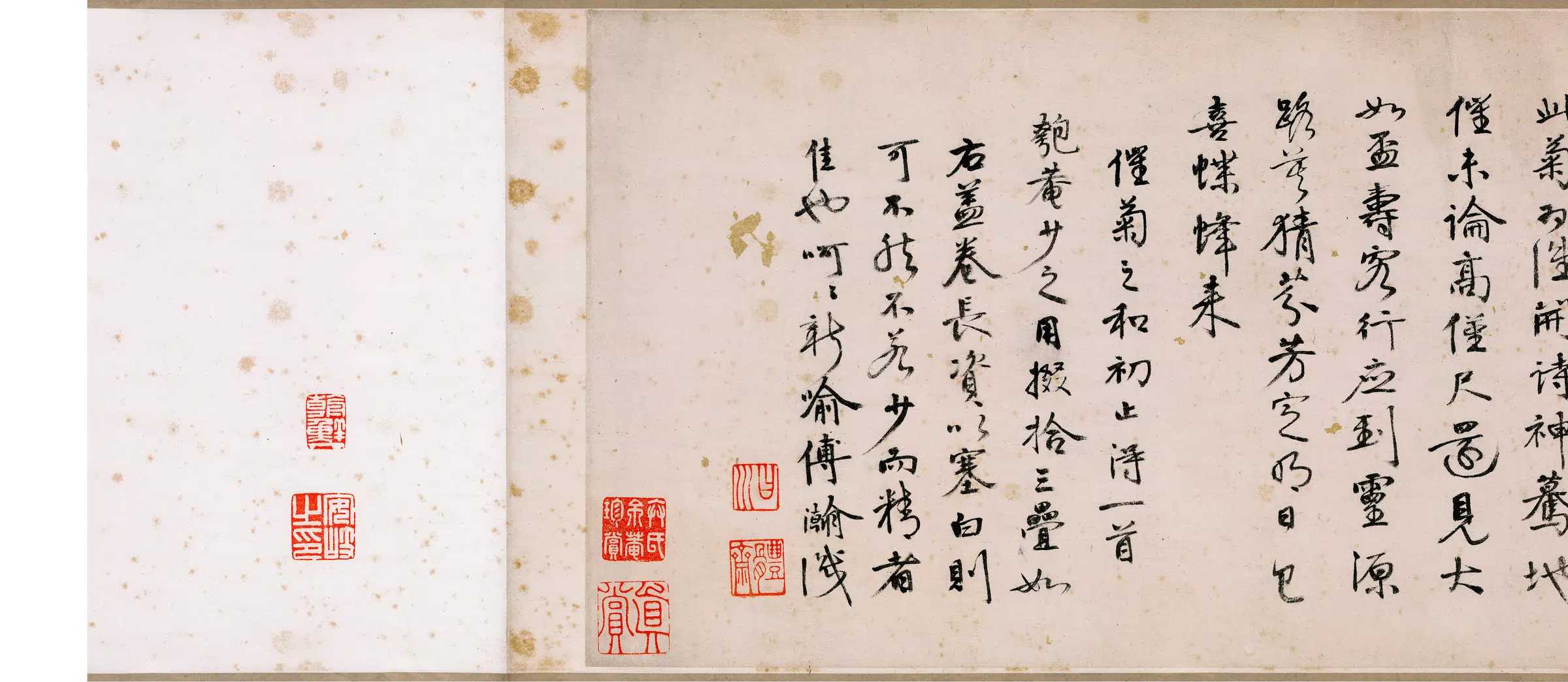 明朝【沈周】《盆菊图纸本》