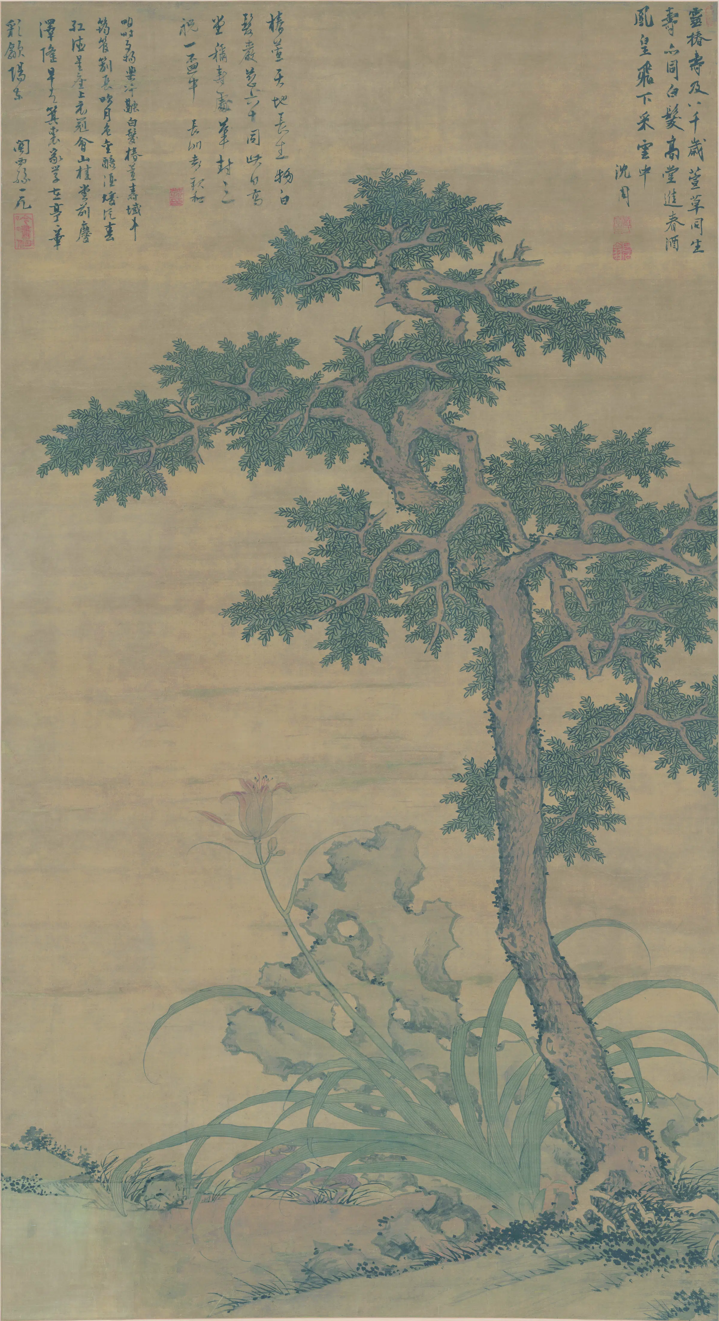 明朝【沈周】《田椿萱图轴(绢本)》